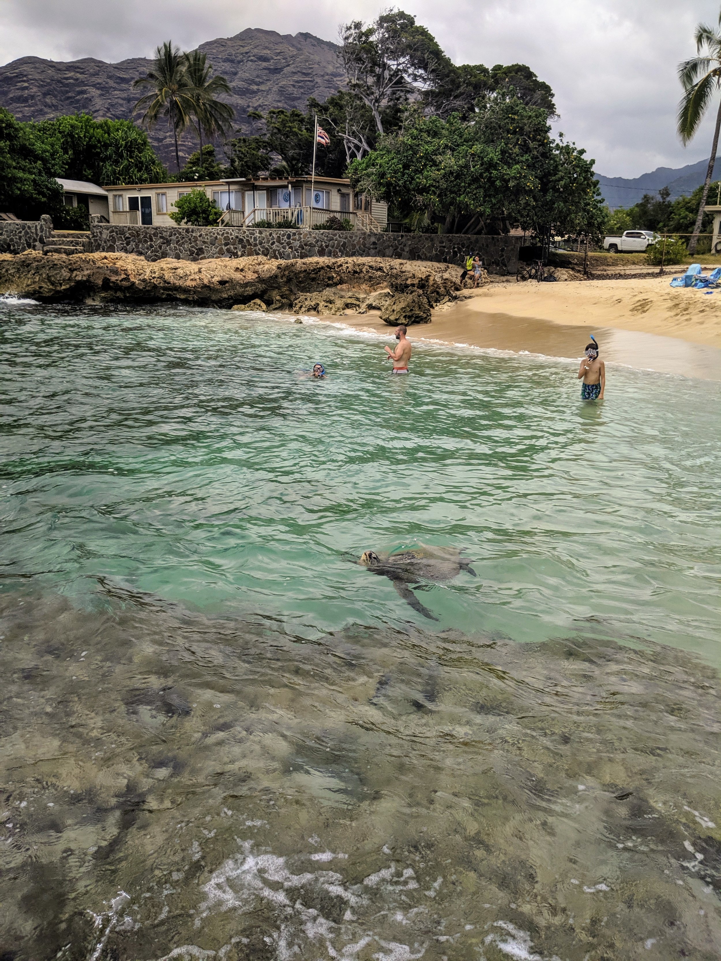  Snorkeling with a sea turtle at Aki’s Beach. 
