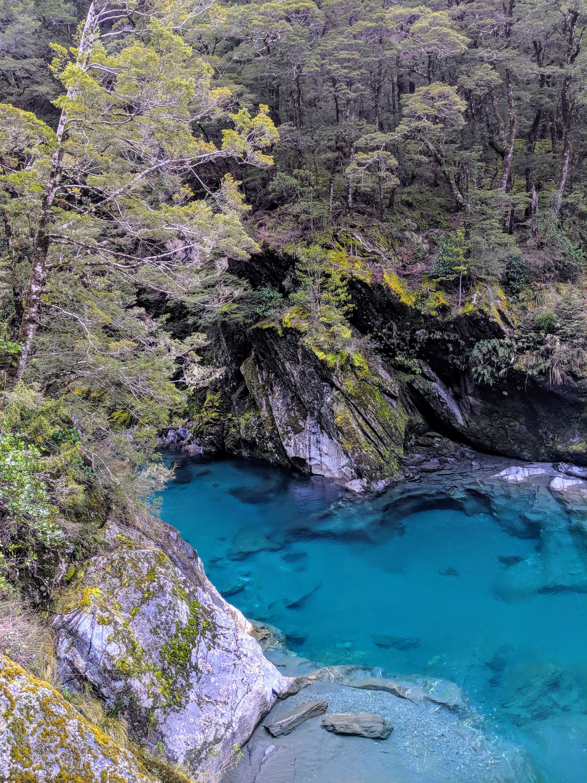 Blue Pools in Mt. Aspiring National Park 