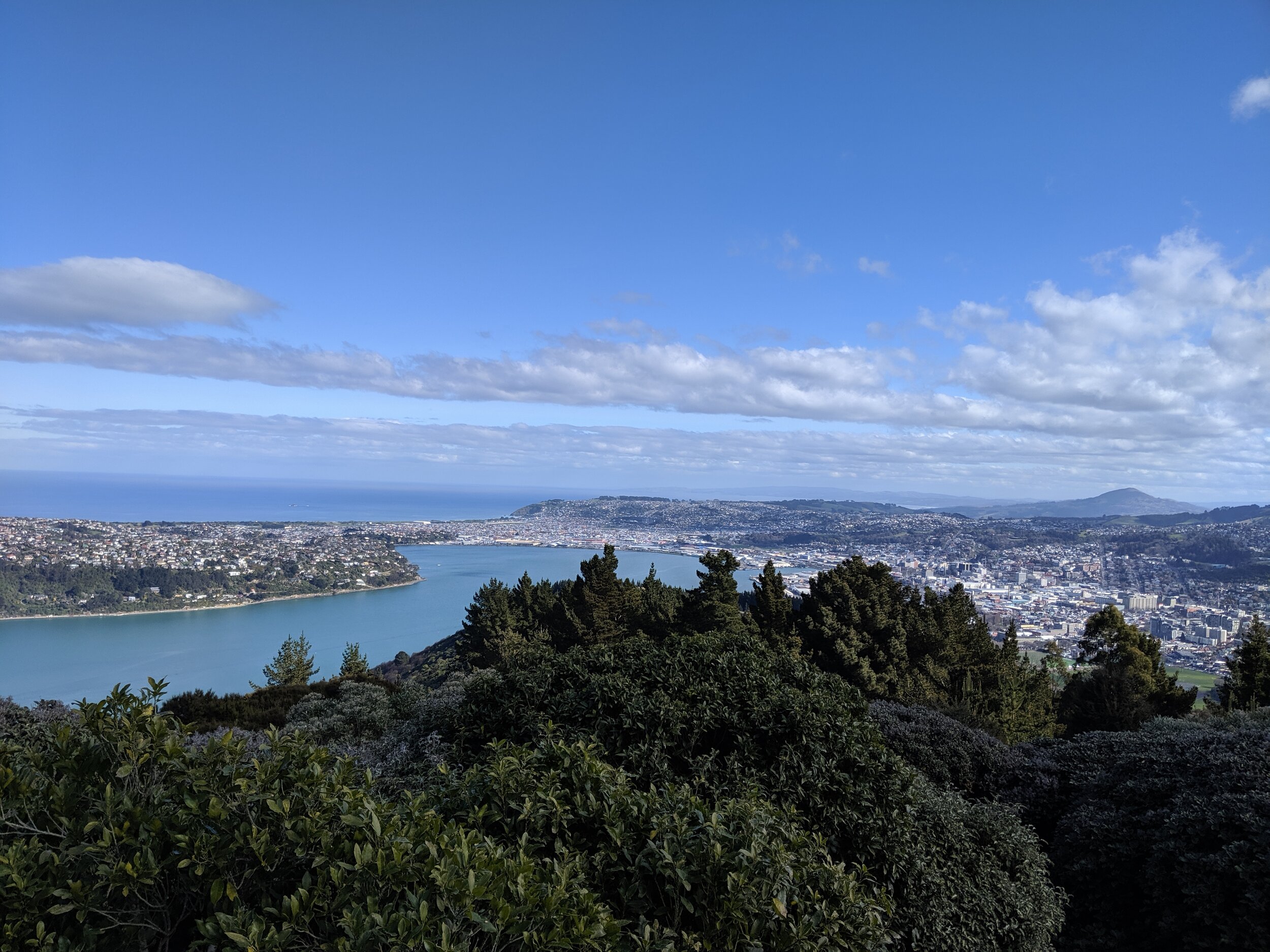  View of Otago Peninsula (left) and Dunedin (right) from Signal Hill Lookout. 