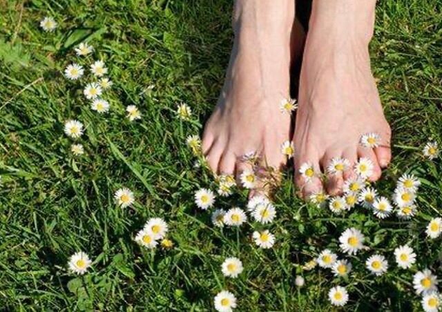 Self Care Sunday PSA! Get those toes in the grass!!!! Wishing you all a restful weekend but remember what Memorial Day is really for.