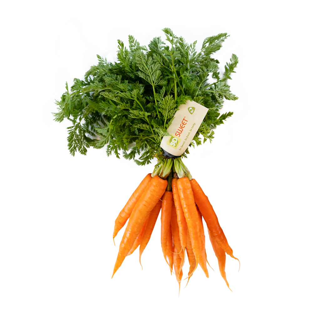Bunched-Carrots-2.png