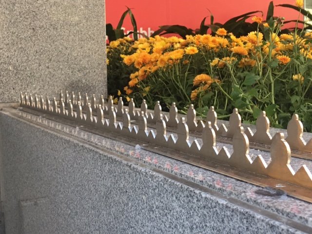 Loafer Rail
