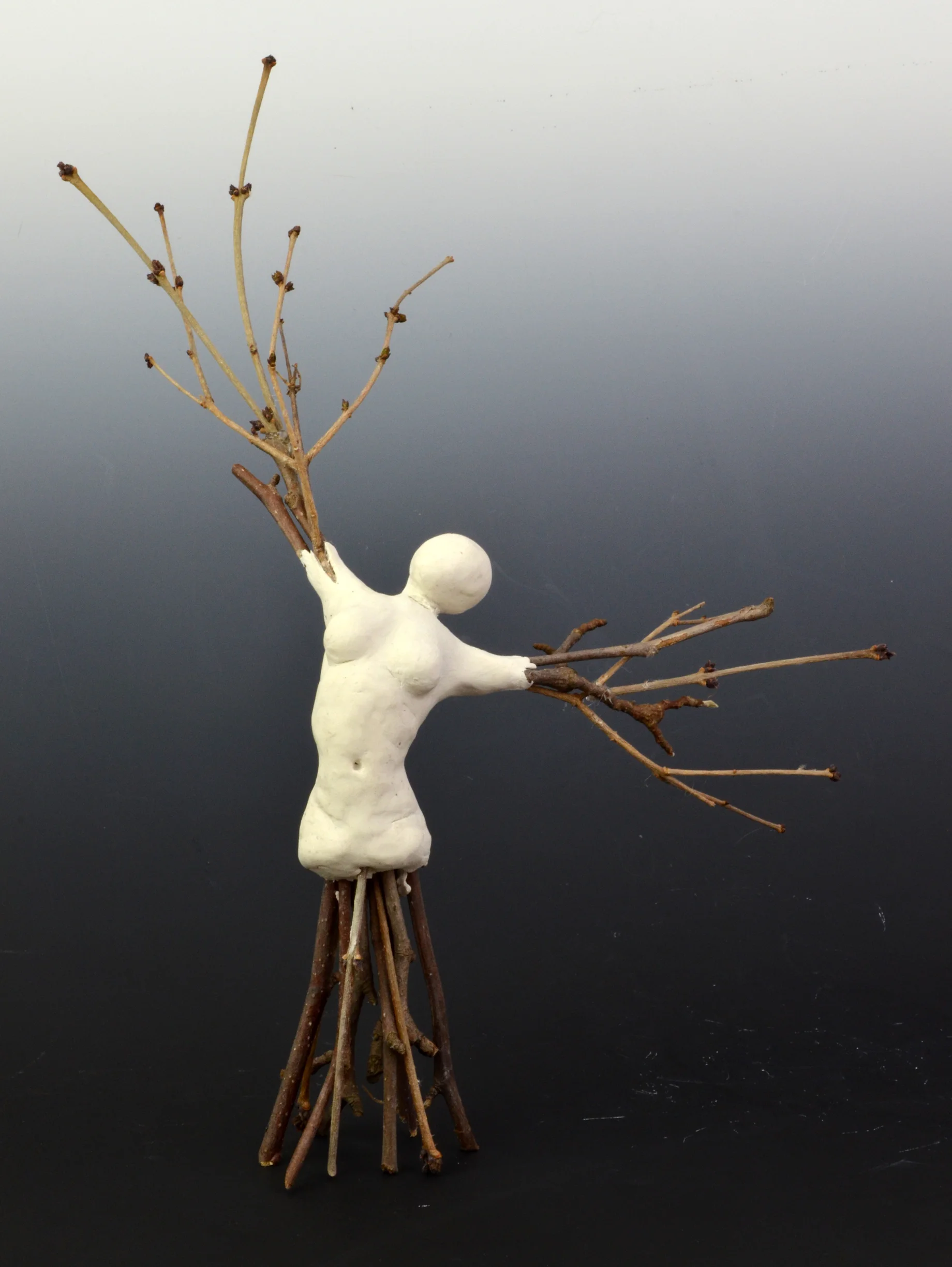 Branching Out (2017)