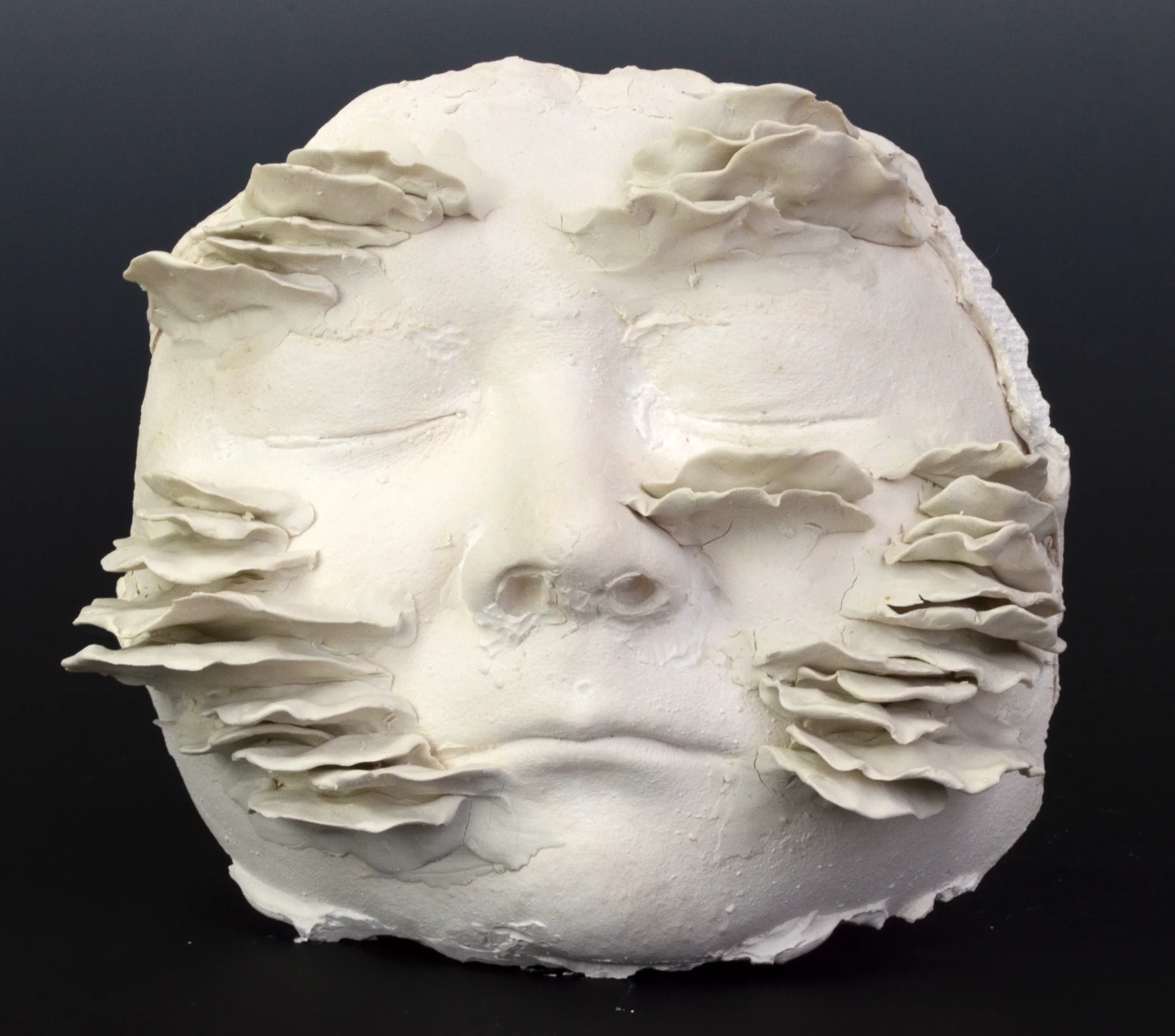 Fungus (2017)