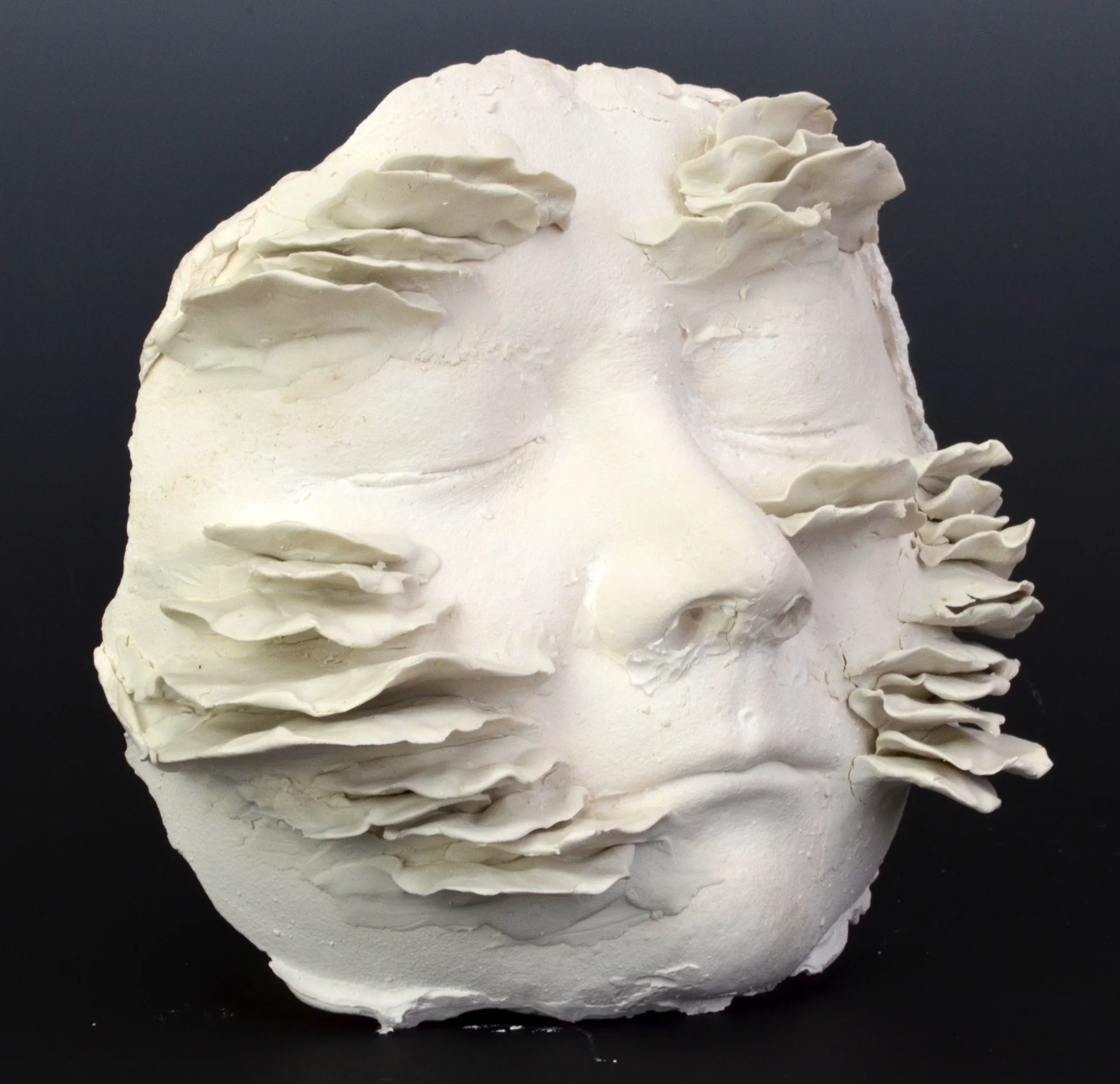 Fungus (2017)