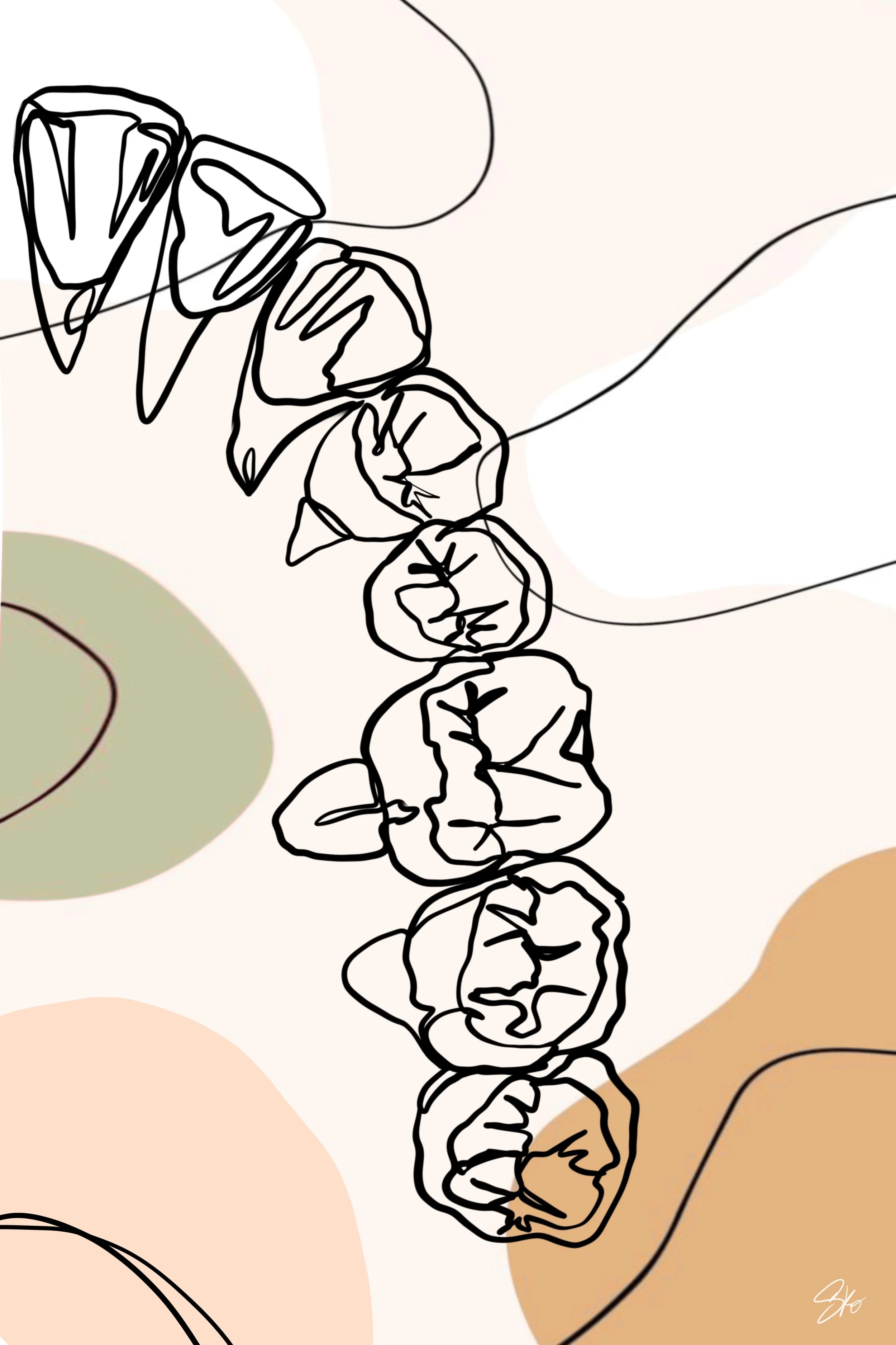 Occlusal_View.JPG