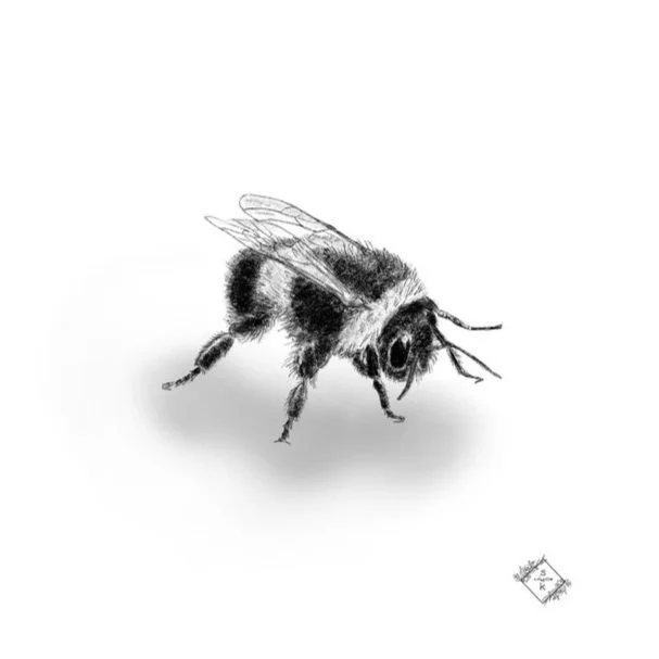 DEE25164-58E2-4EDF-88B6-863E6399B018_1_105_c.jpg