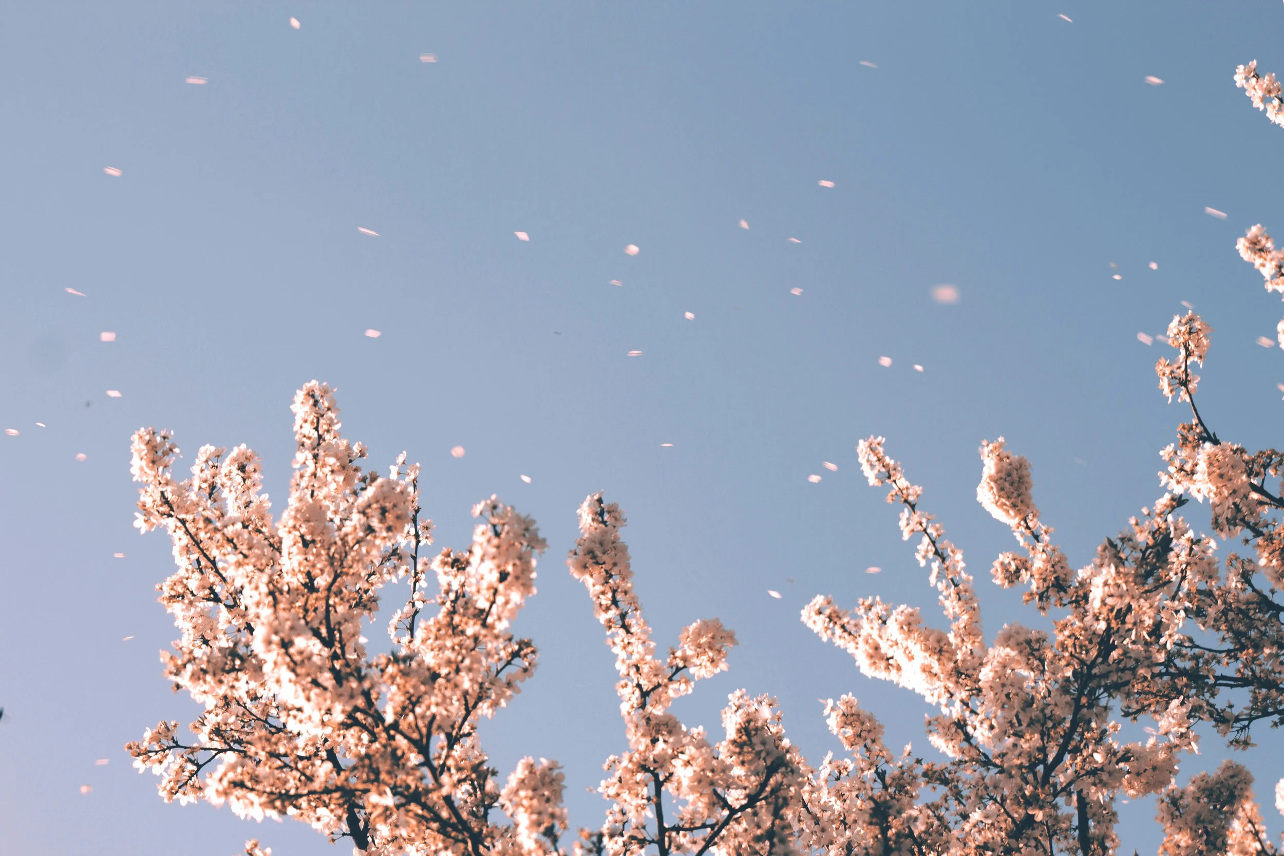 bravery: putting yourself first 