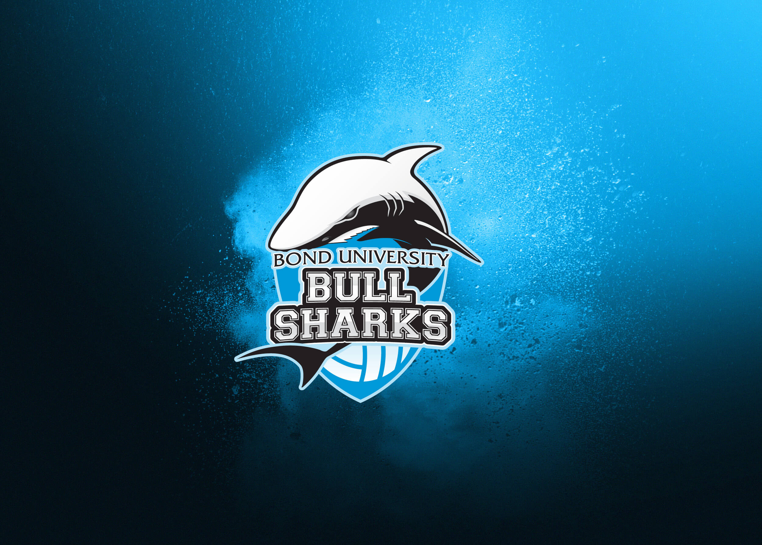 TFC Web 2019 Netball SapphireSeries Folio3.jpg