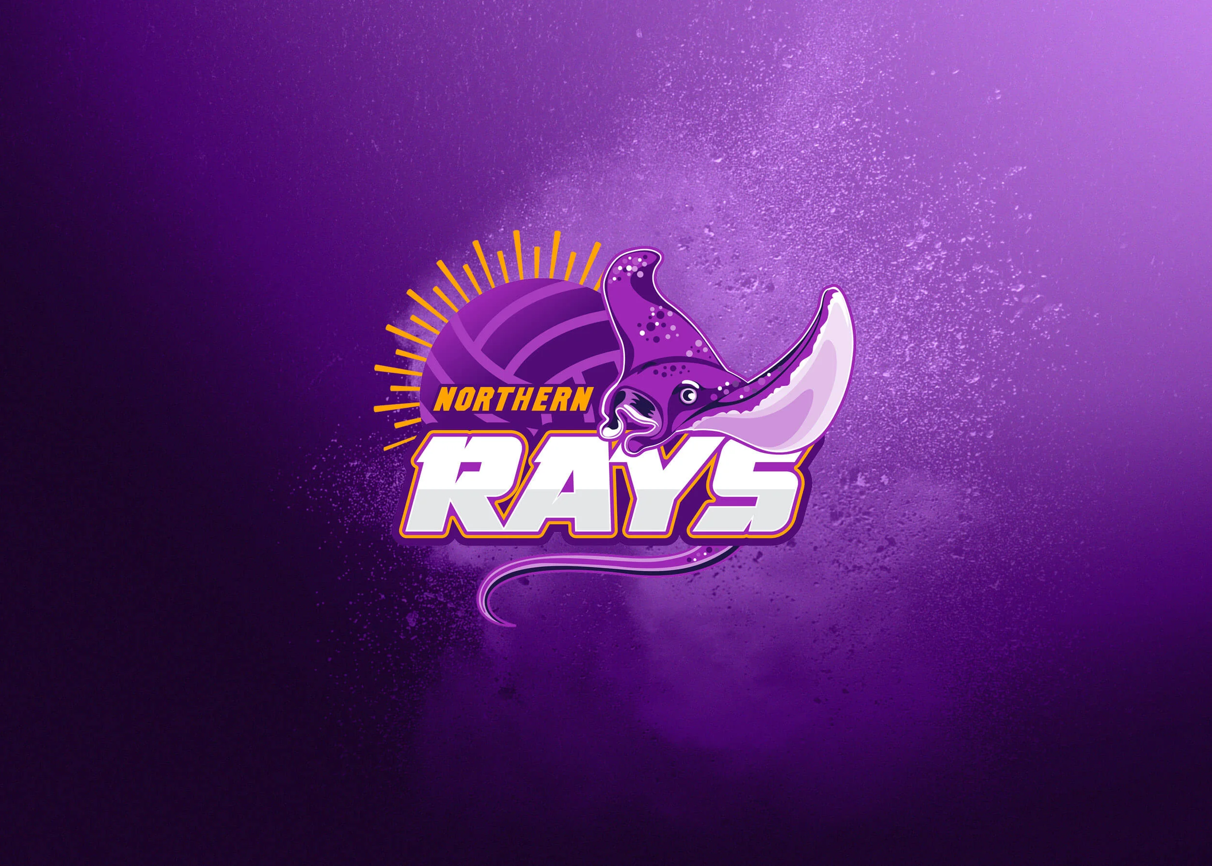 TFC Web 2019 Netball SapphireSeries Folio4.jpg