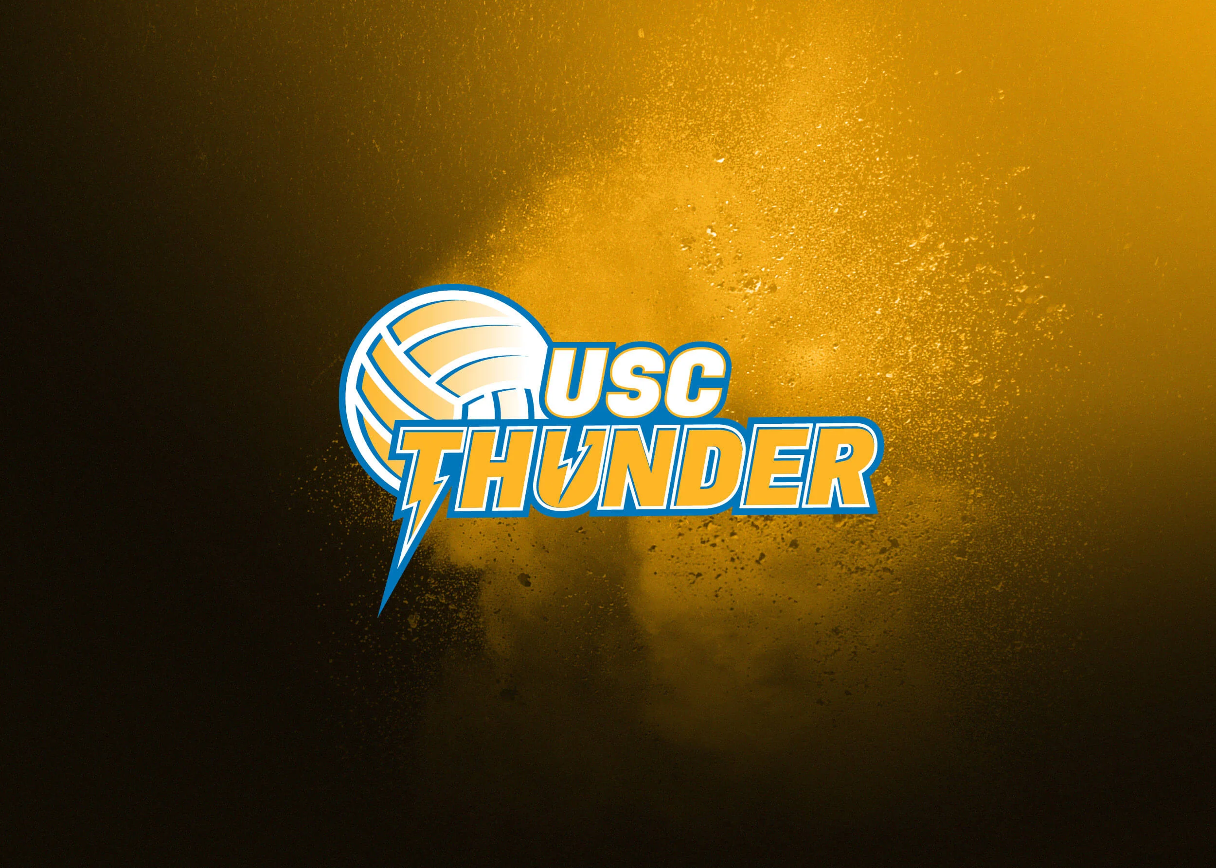 TFC Web 2019 Netball SapphireSeries Folio5.jpg