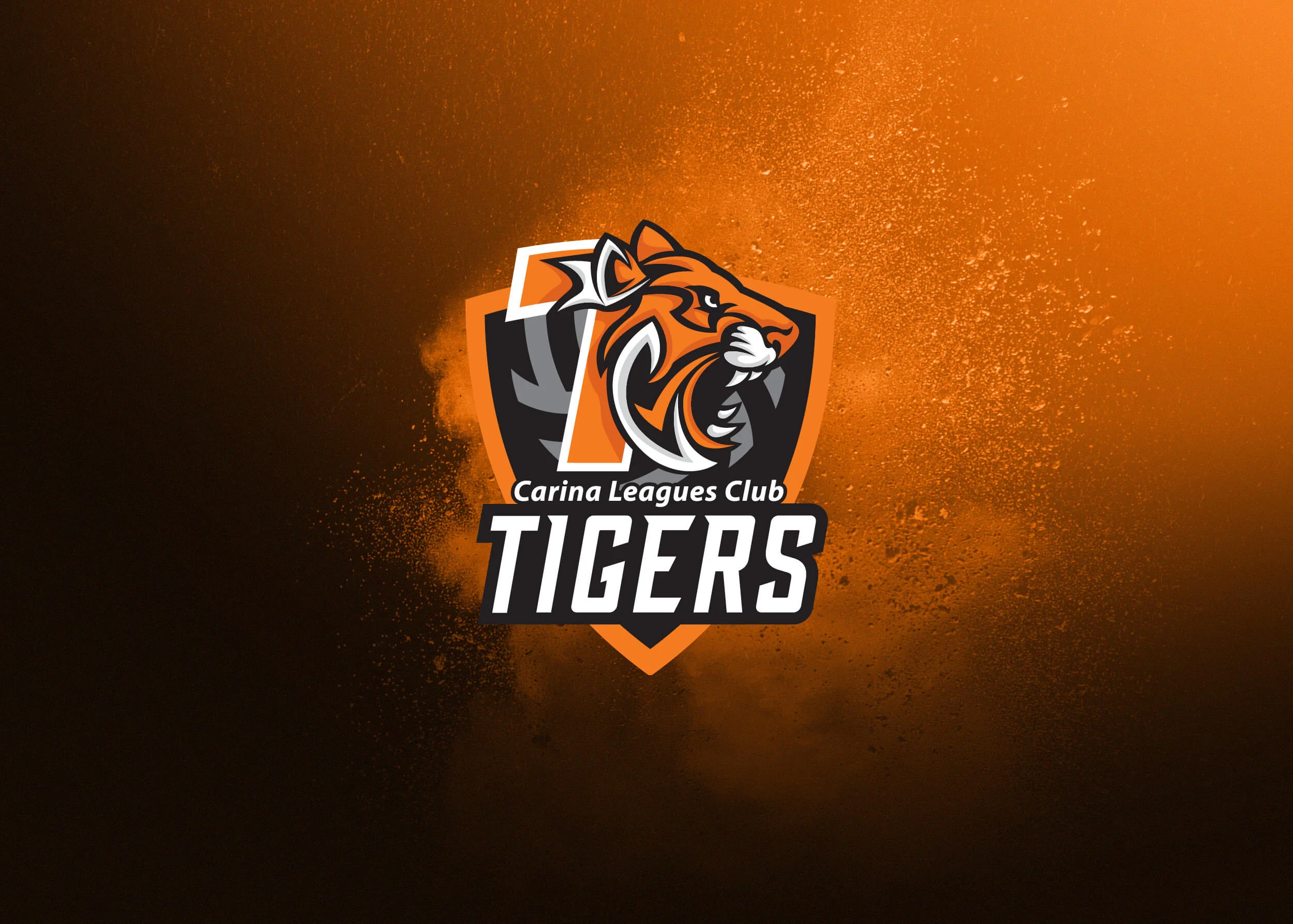 TFC Web 2019 Netball SapphireSeries Folio6.jpg