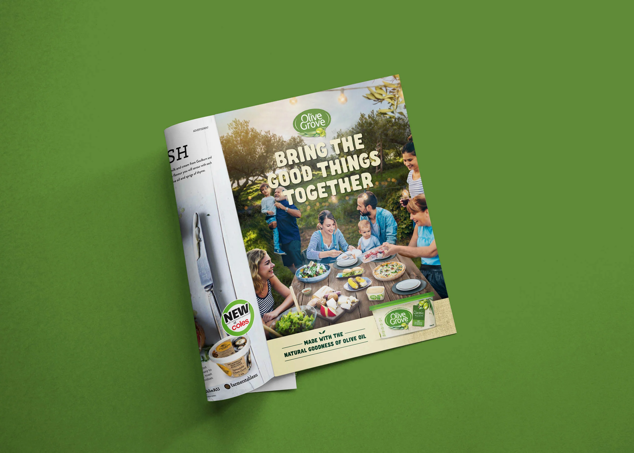 TFC Web 2019 OliveGrove Folio.jpg