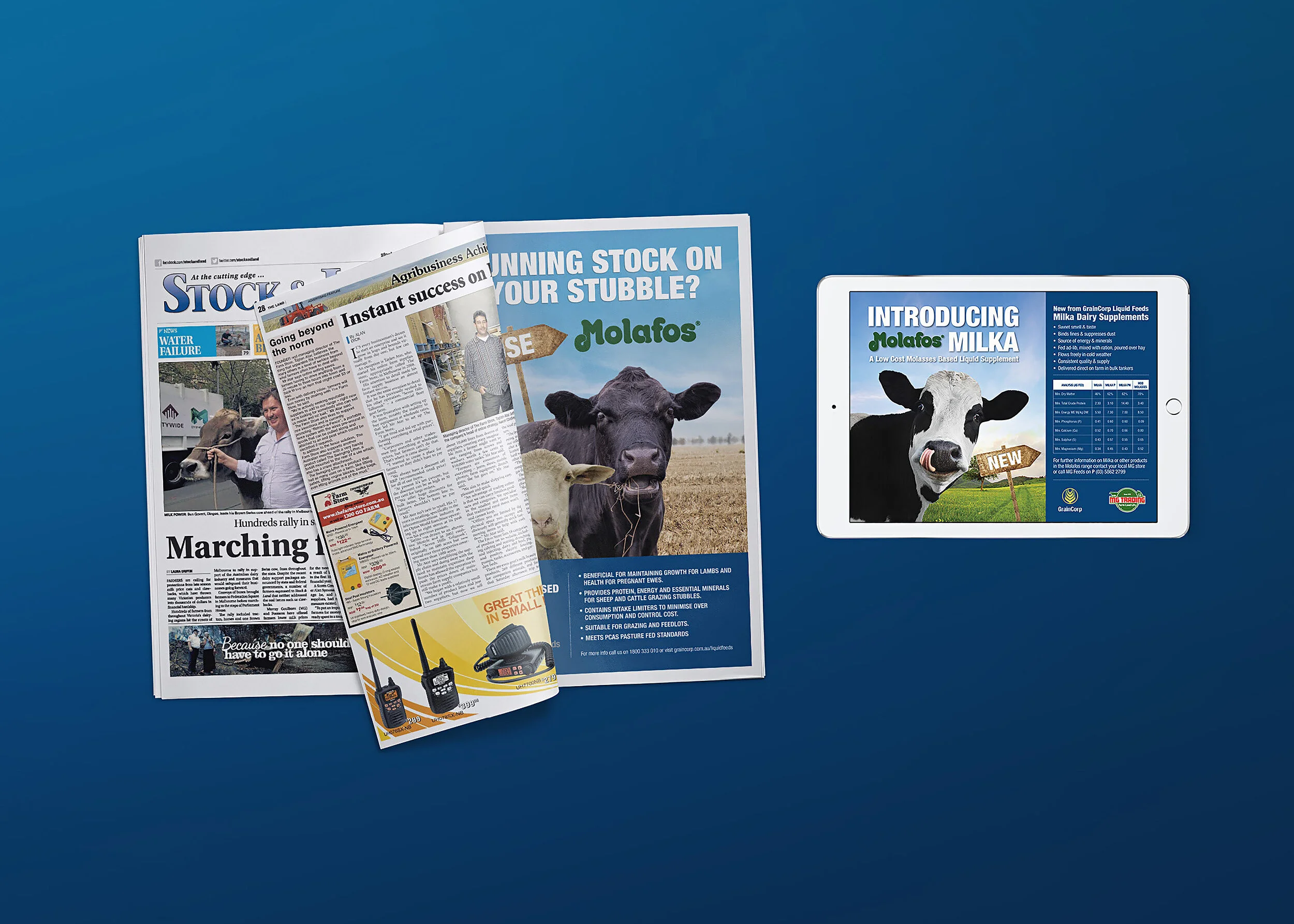 TFC Web Molafos Folio.jpg