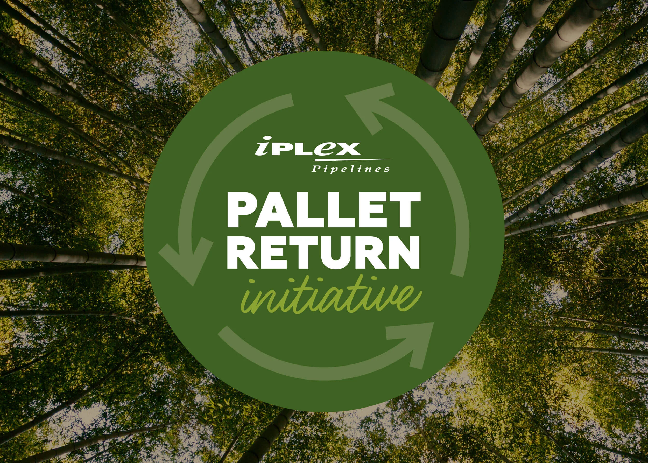 TFC Web Iplex Pallet Return1.jpg