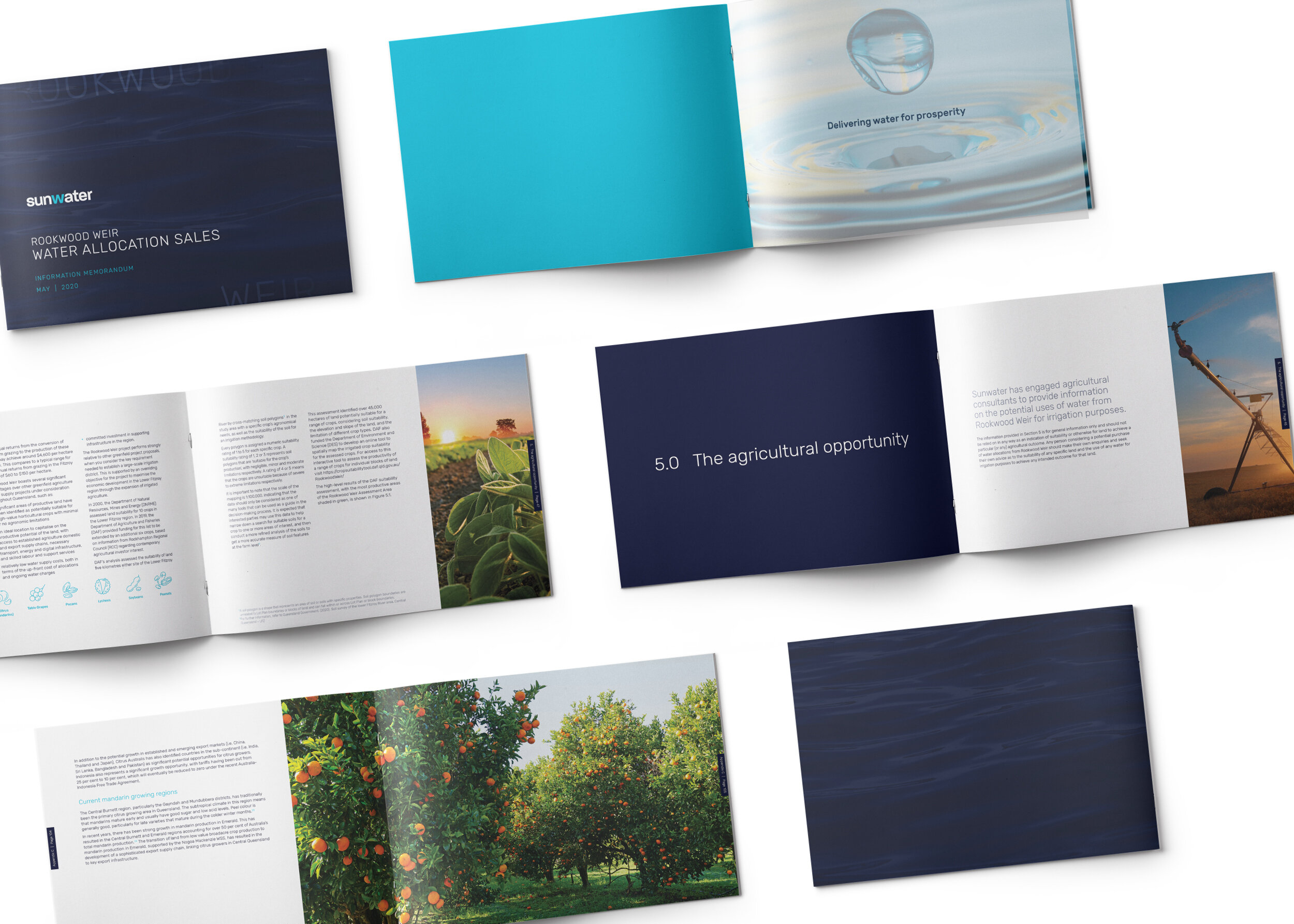 TFC Web Sunwater4.jpg