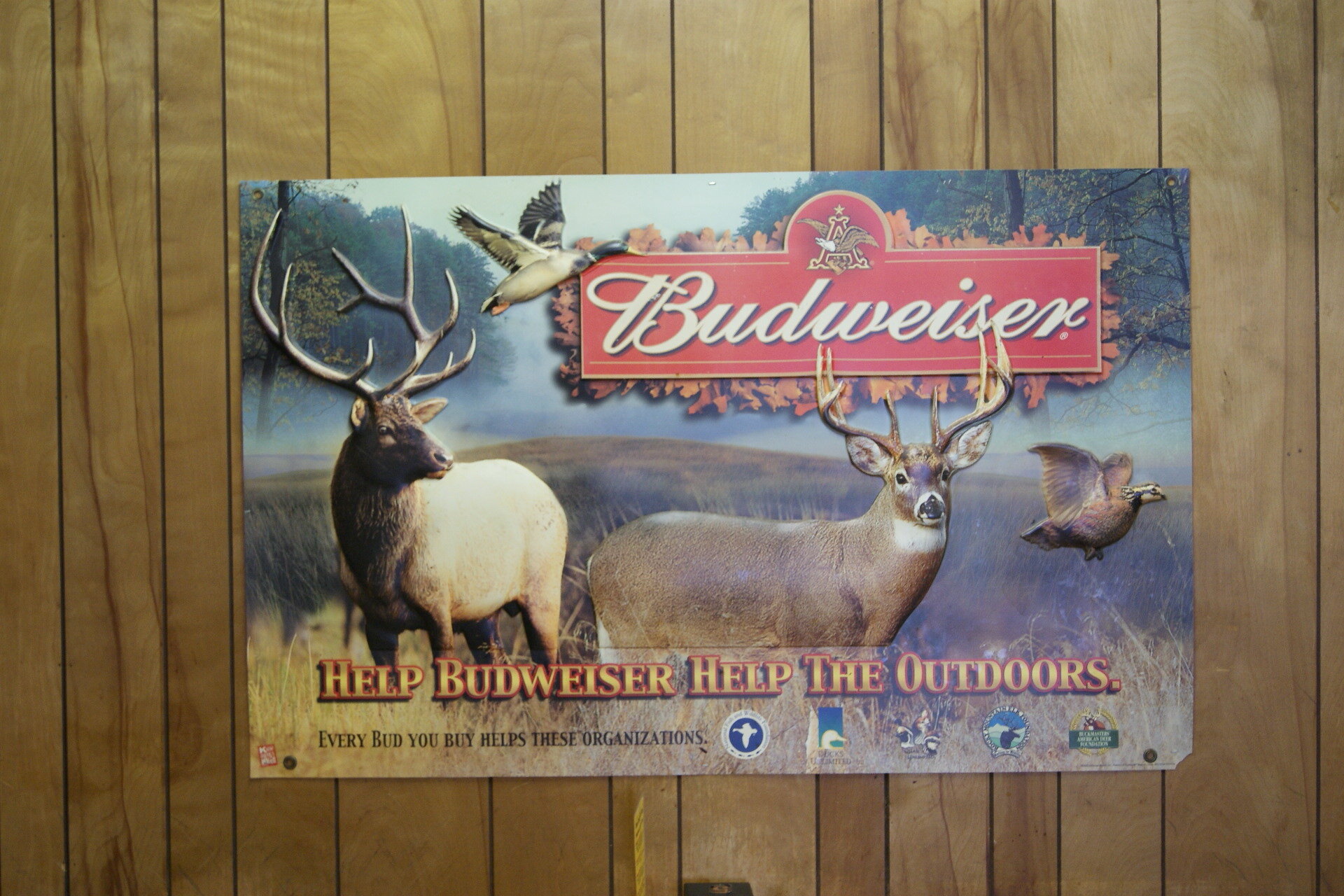 Budweiser hunting sign in dining room.JPG