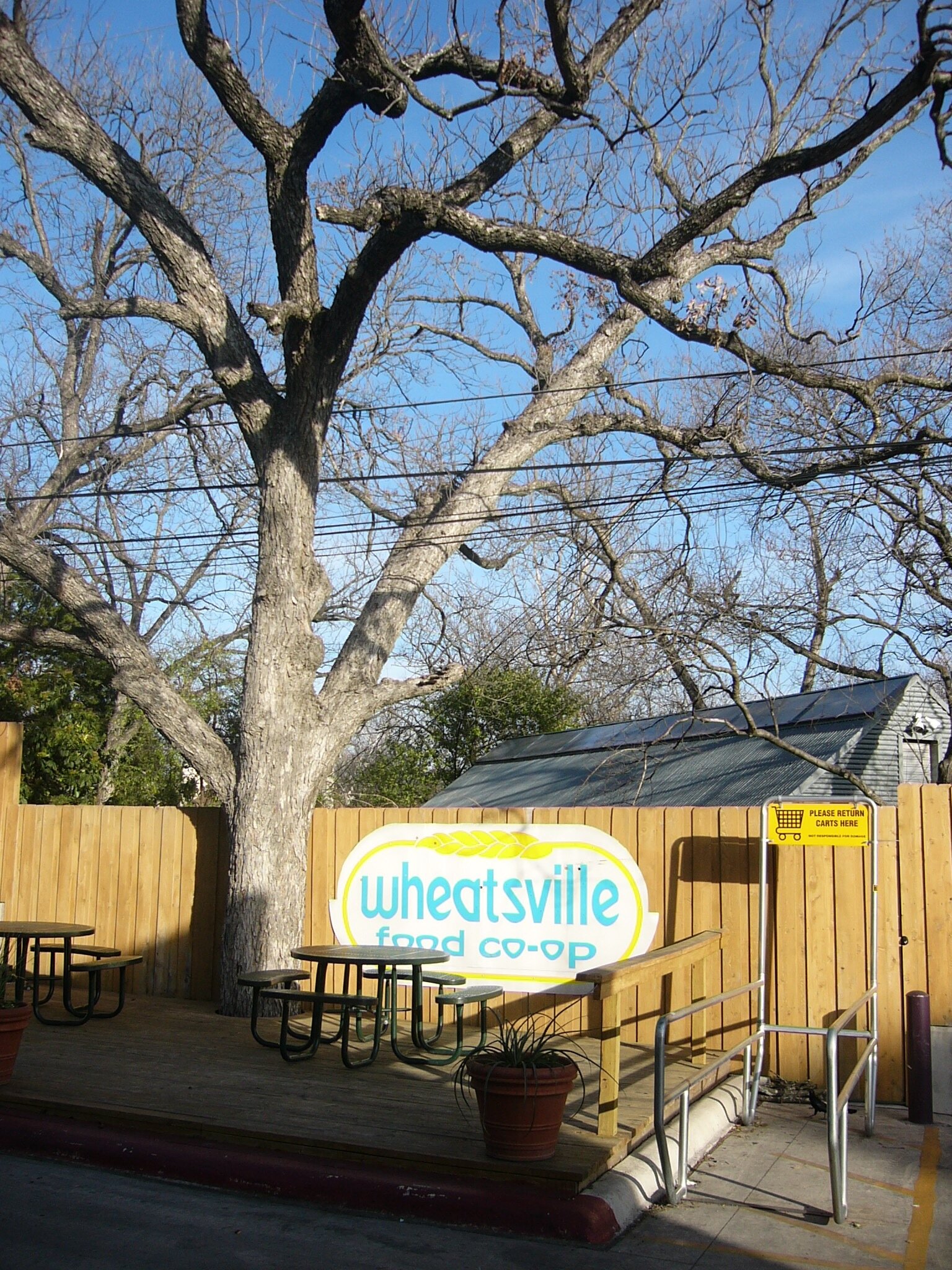 wheatsville-patio1.JPG