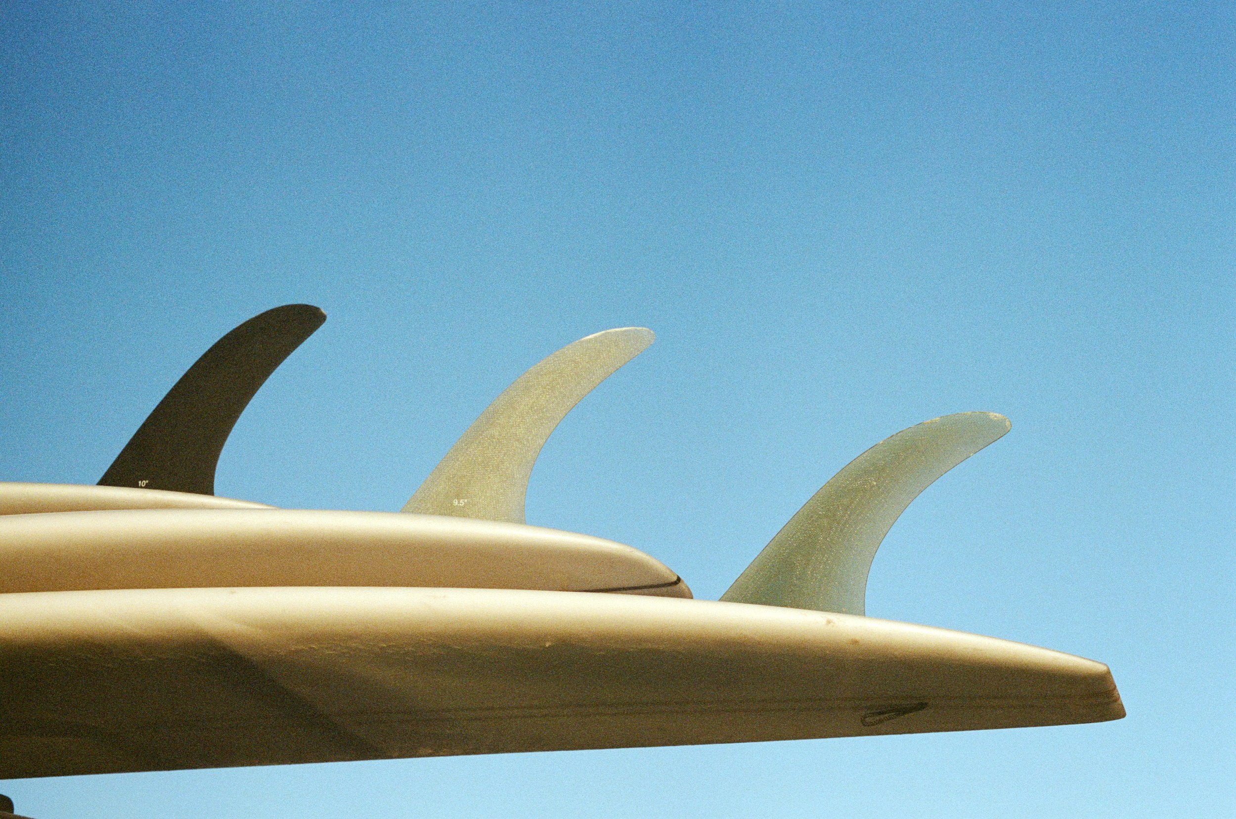 Bing_Single_Fin_Longboards.jpeg