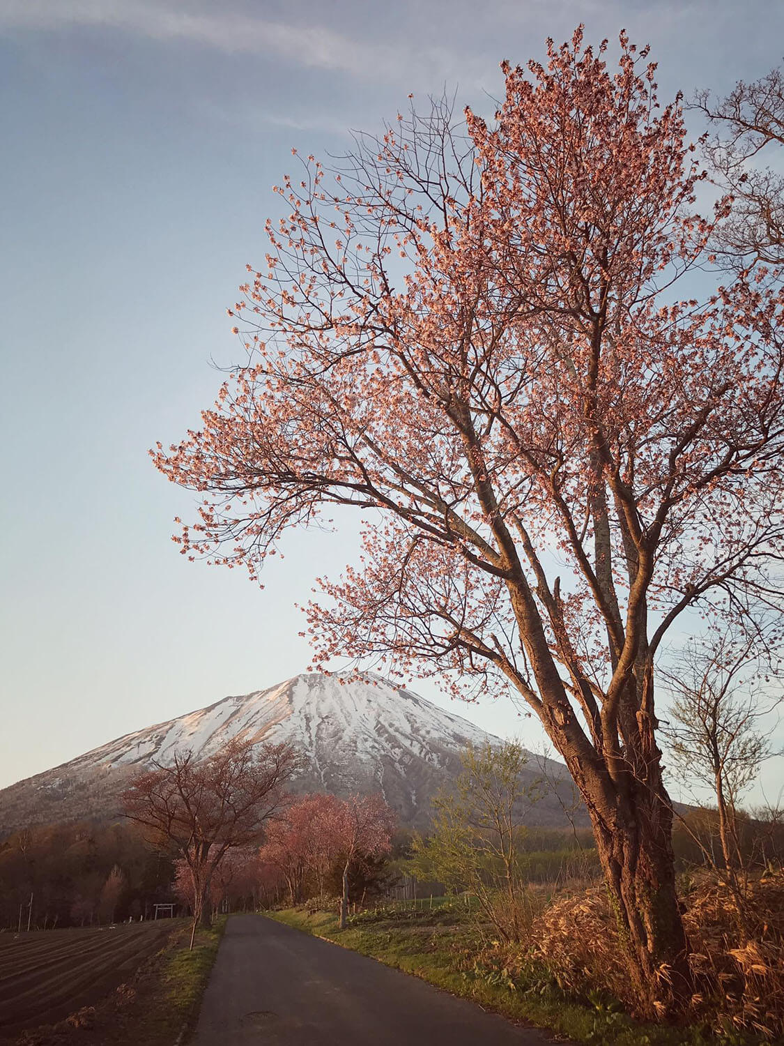 HOKKAIDO