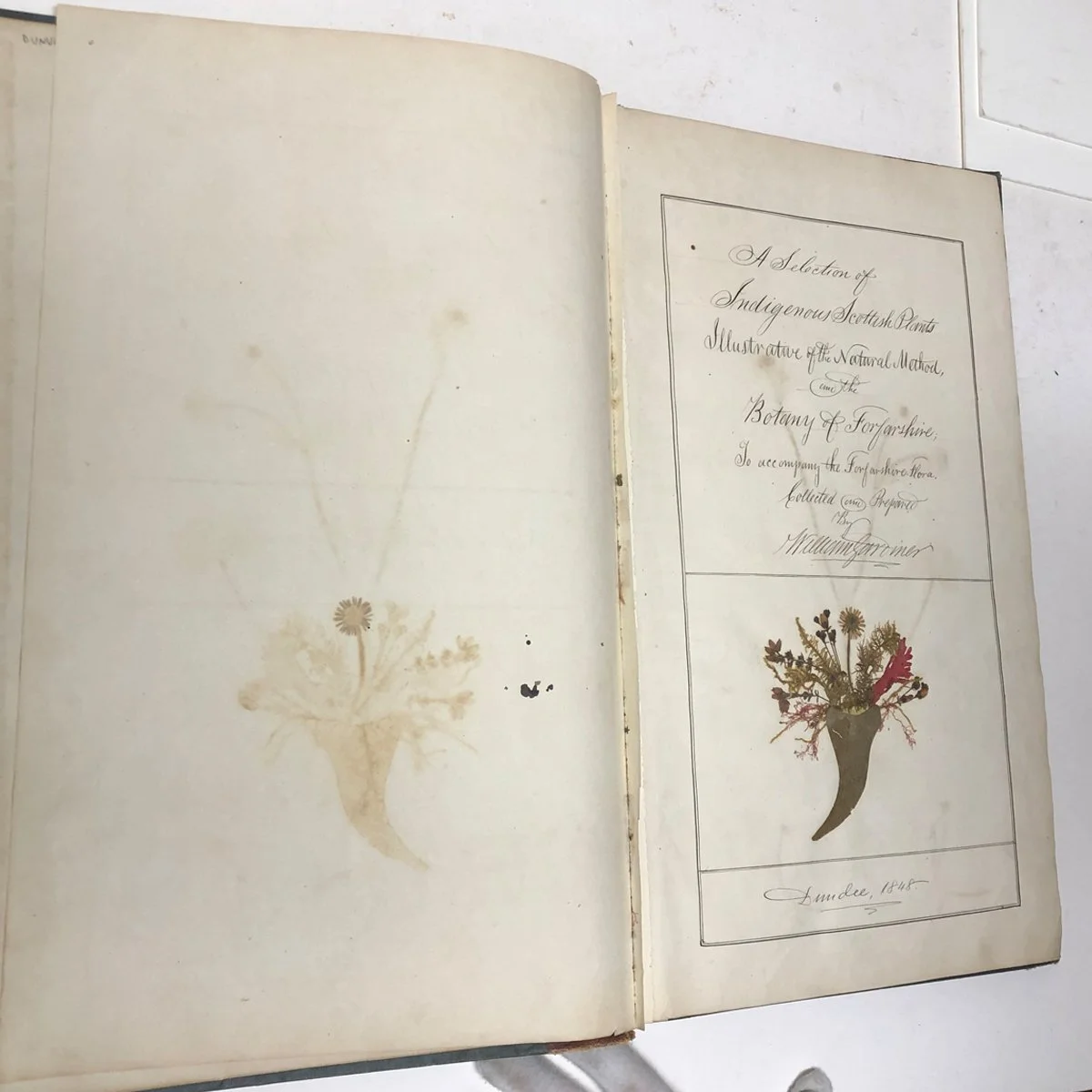 book open 2.jpg