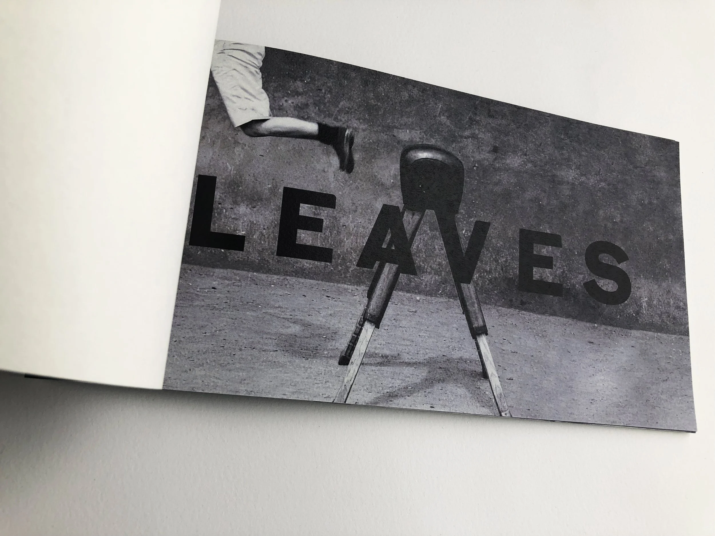 leaves 1.jpg