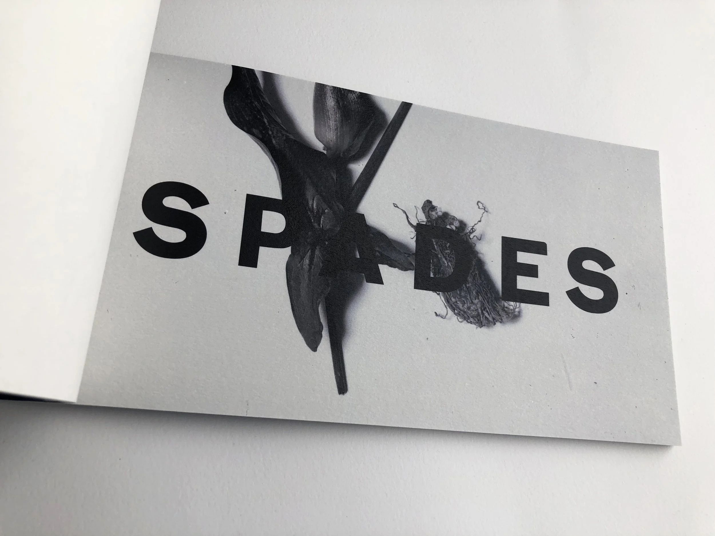 spades 2.jpg