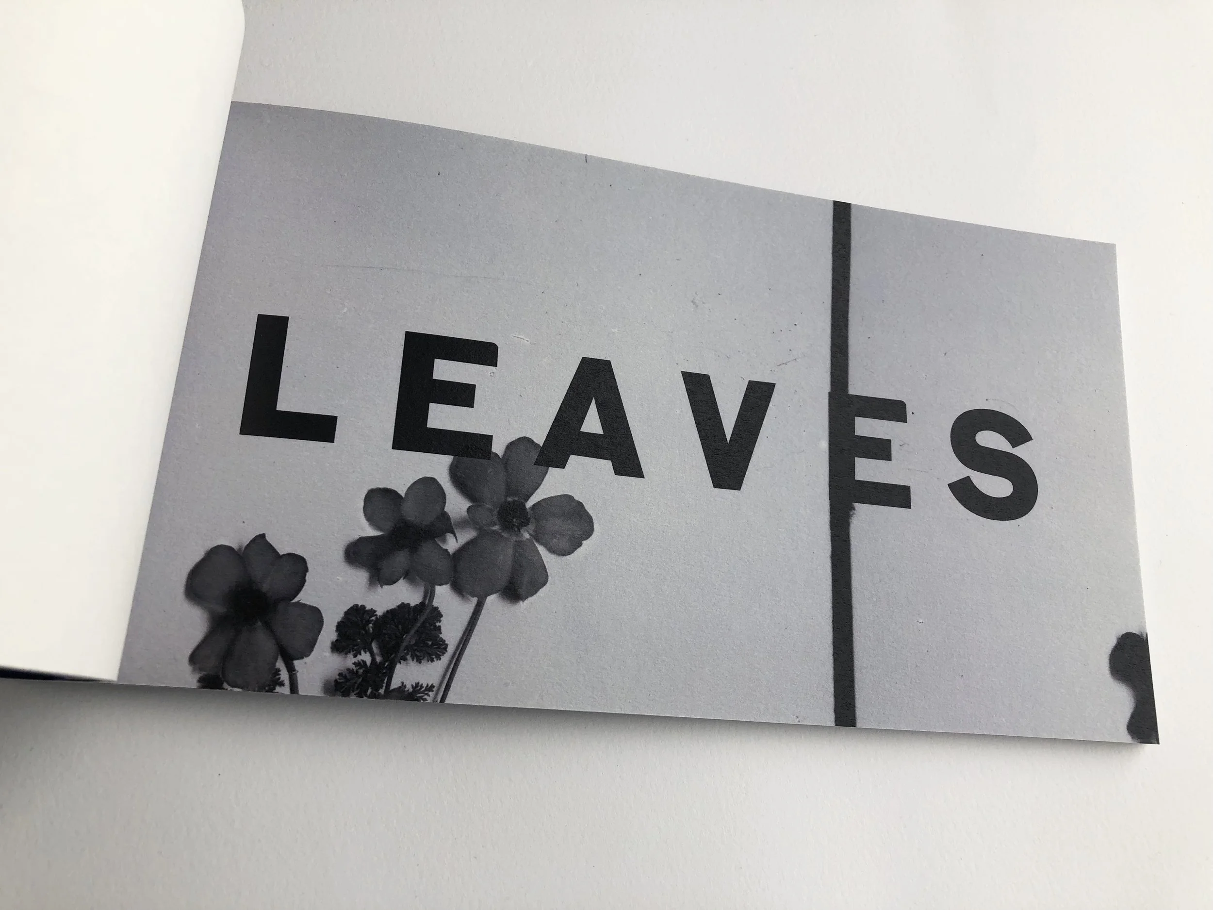leaves 5.jpg