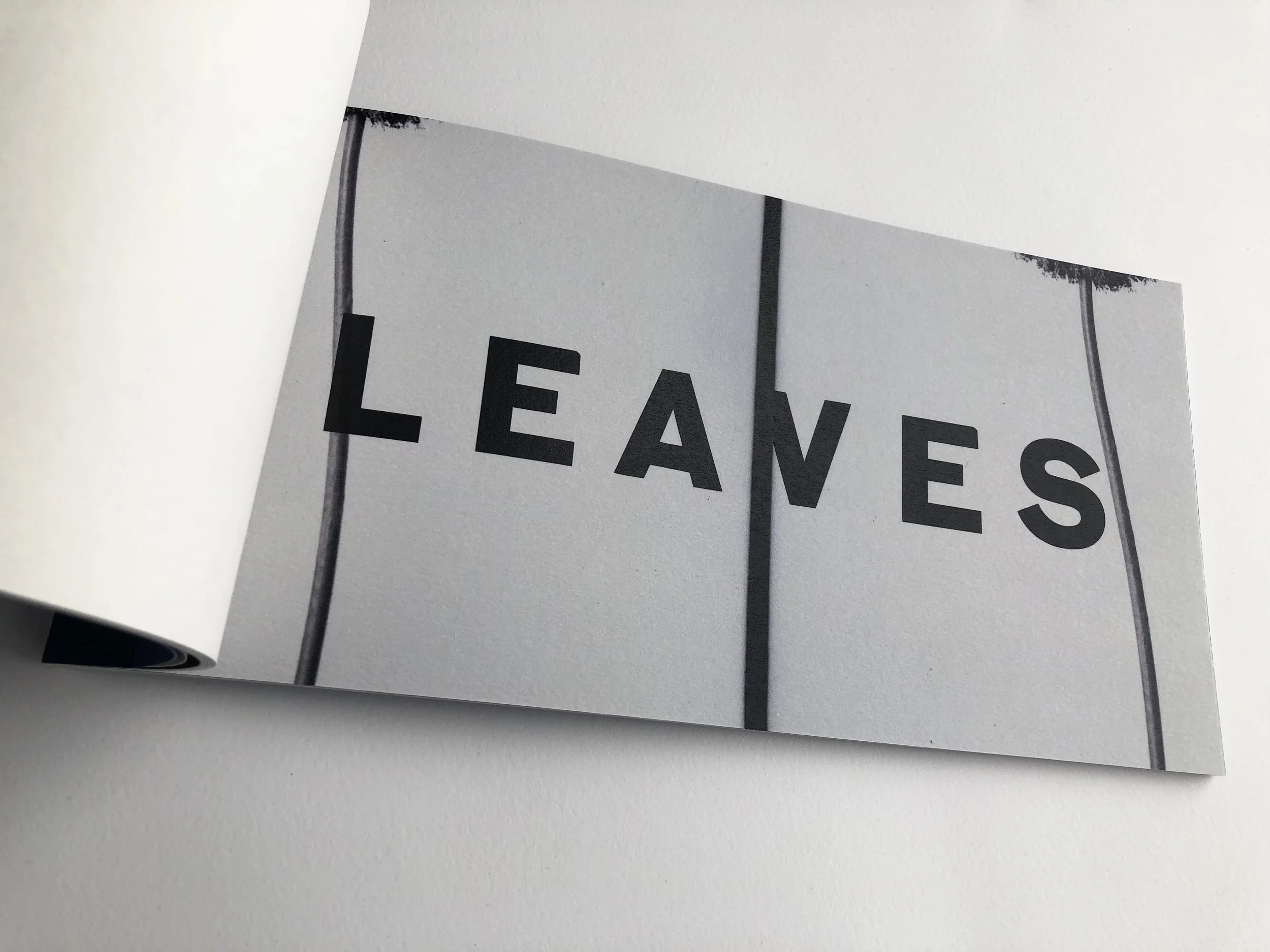 leaves 4.jpg