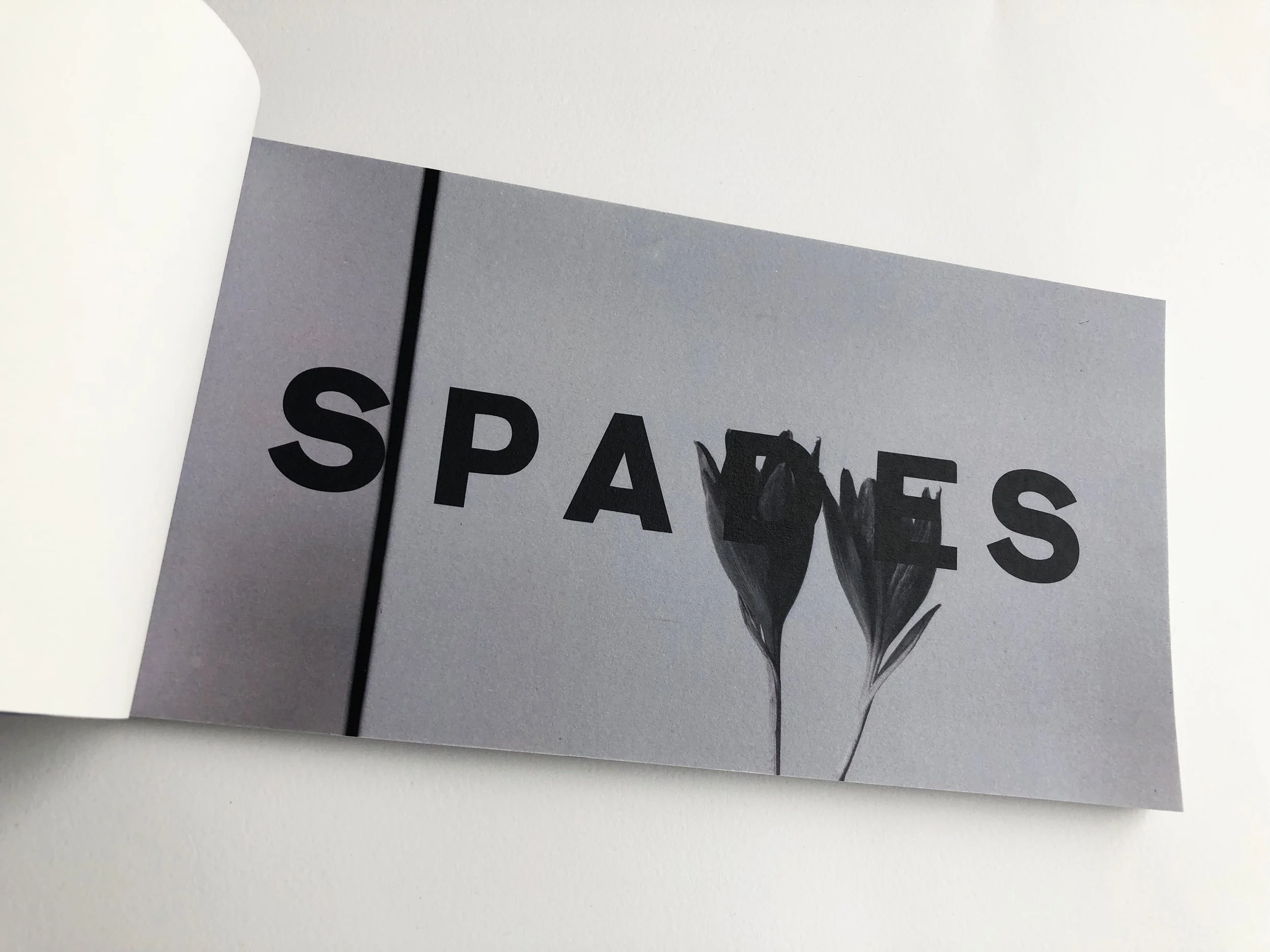 spades 6.jpg