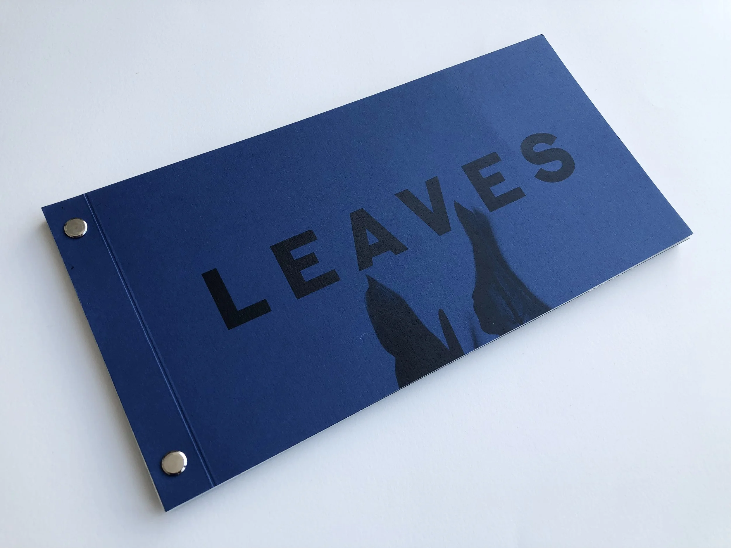 cover leaves V2.jpg