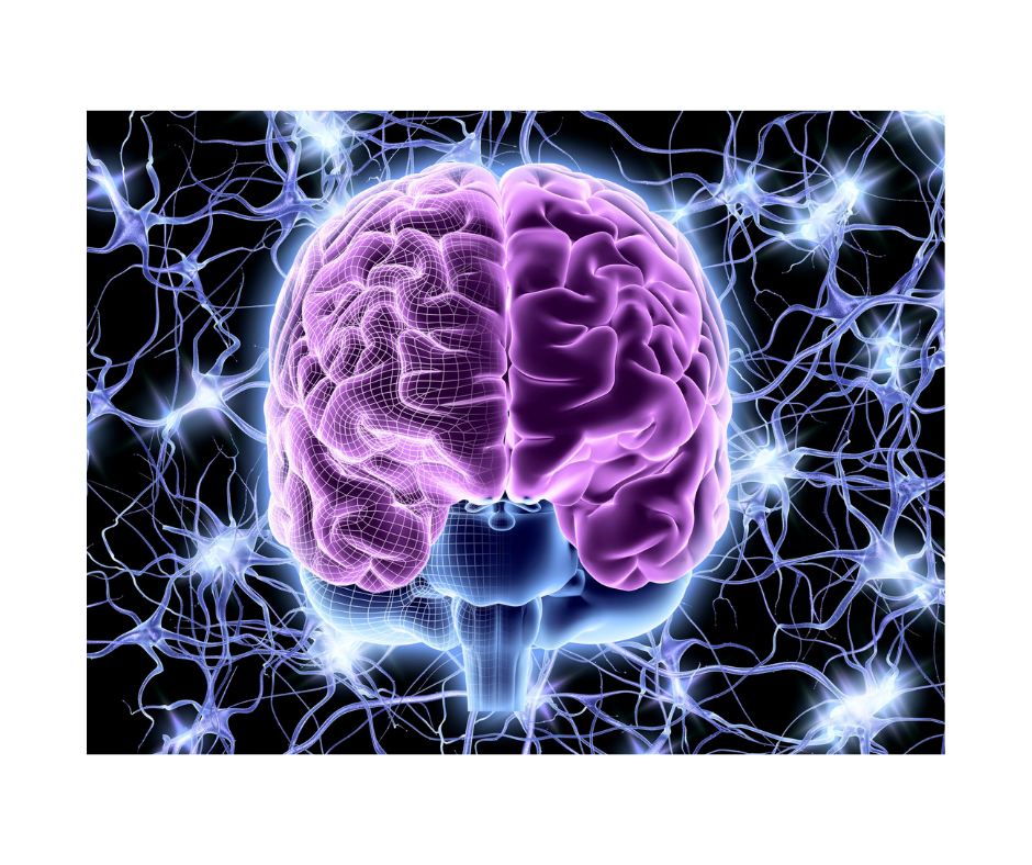 Wellbeing Pathways Pathways To Resilience