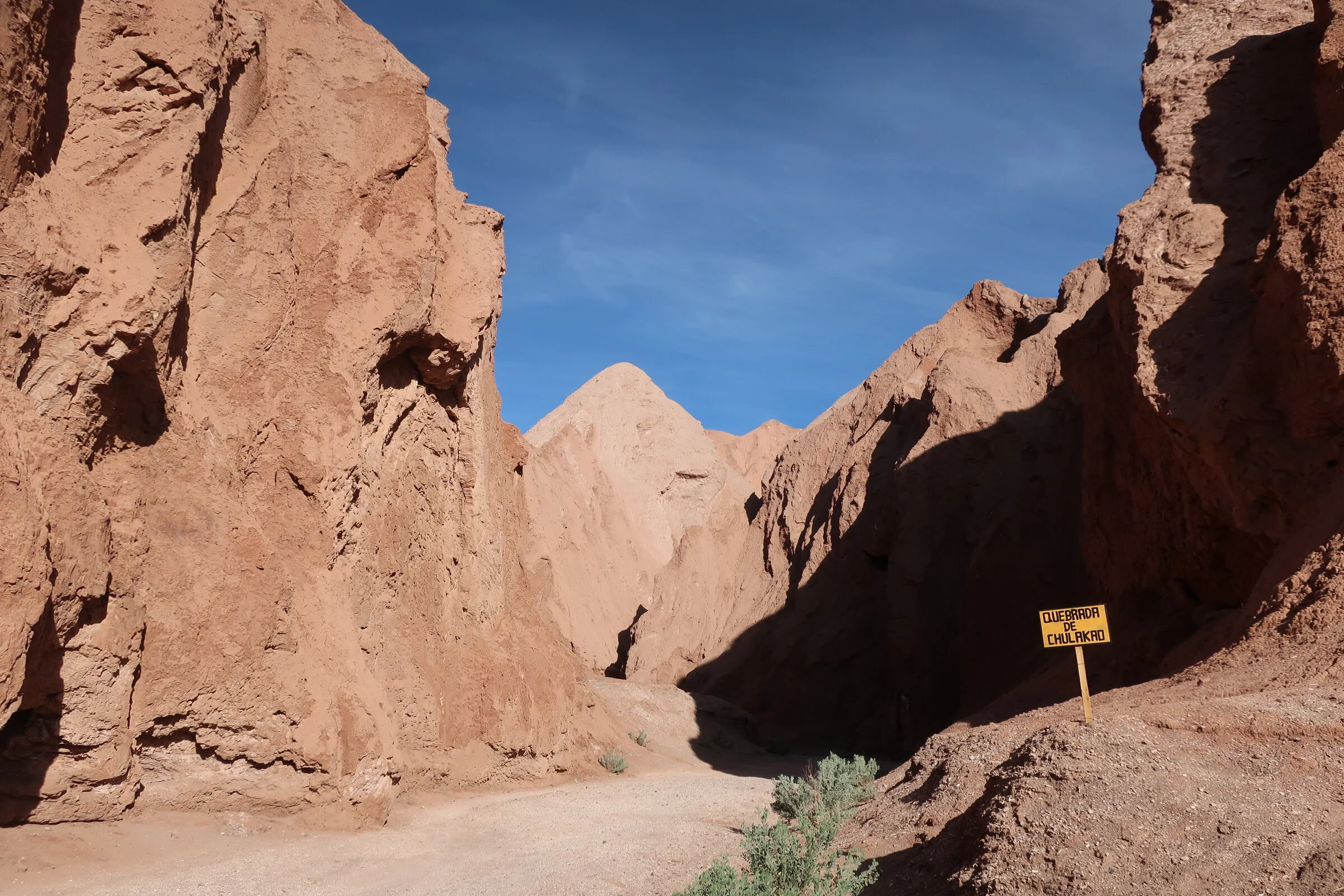 day four at Explora Atacama: geysers, flamingos, and french fries
