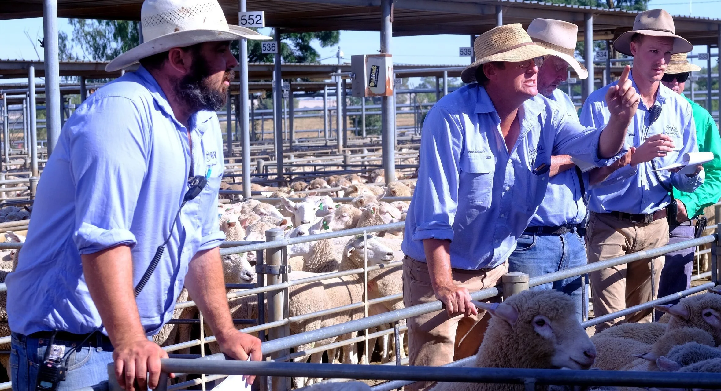 About — Wagga Regional Livestock Livestock Agents, Real Estate