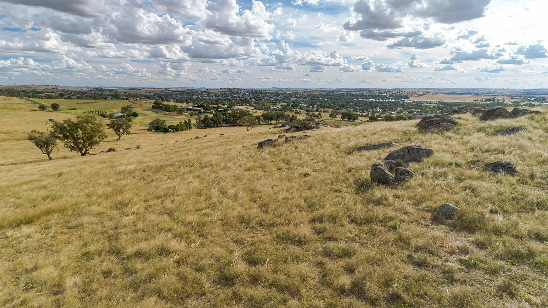 HIlltop, Junee NSW — Wagga Regional Livestock Livestock Agents, Real Estate, Clearing Sales