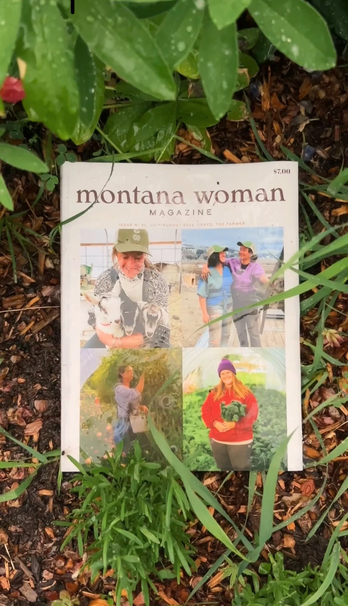 Issue No. 31: July/August 2024