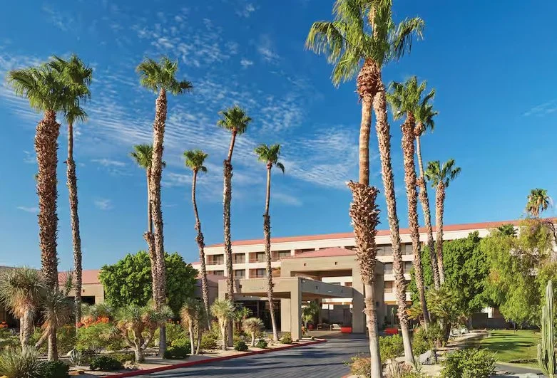 ps hilton.jpg