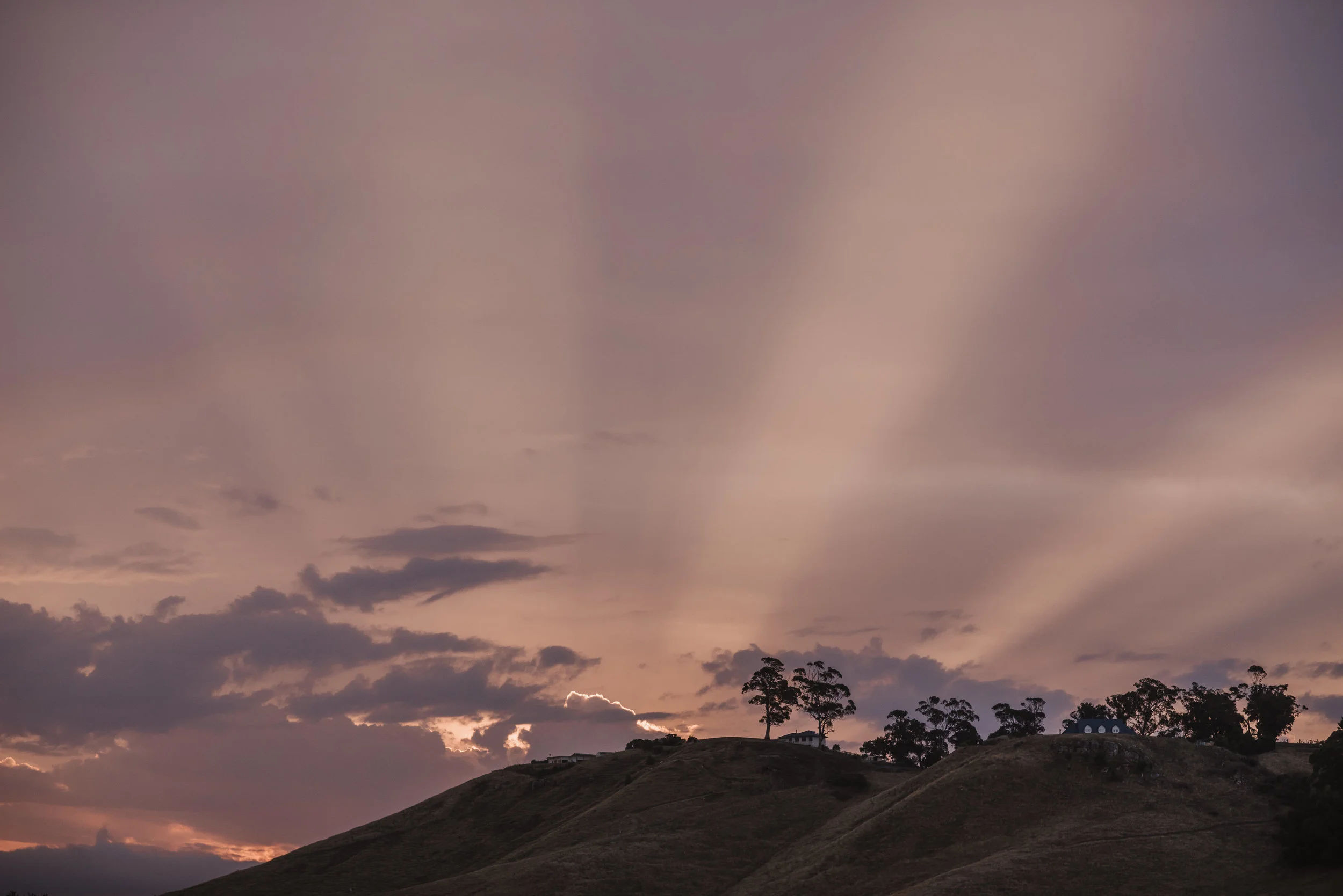 KH- Full Res - Coralee Stone (1185 of 1394).jpg