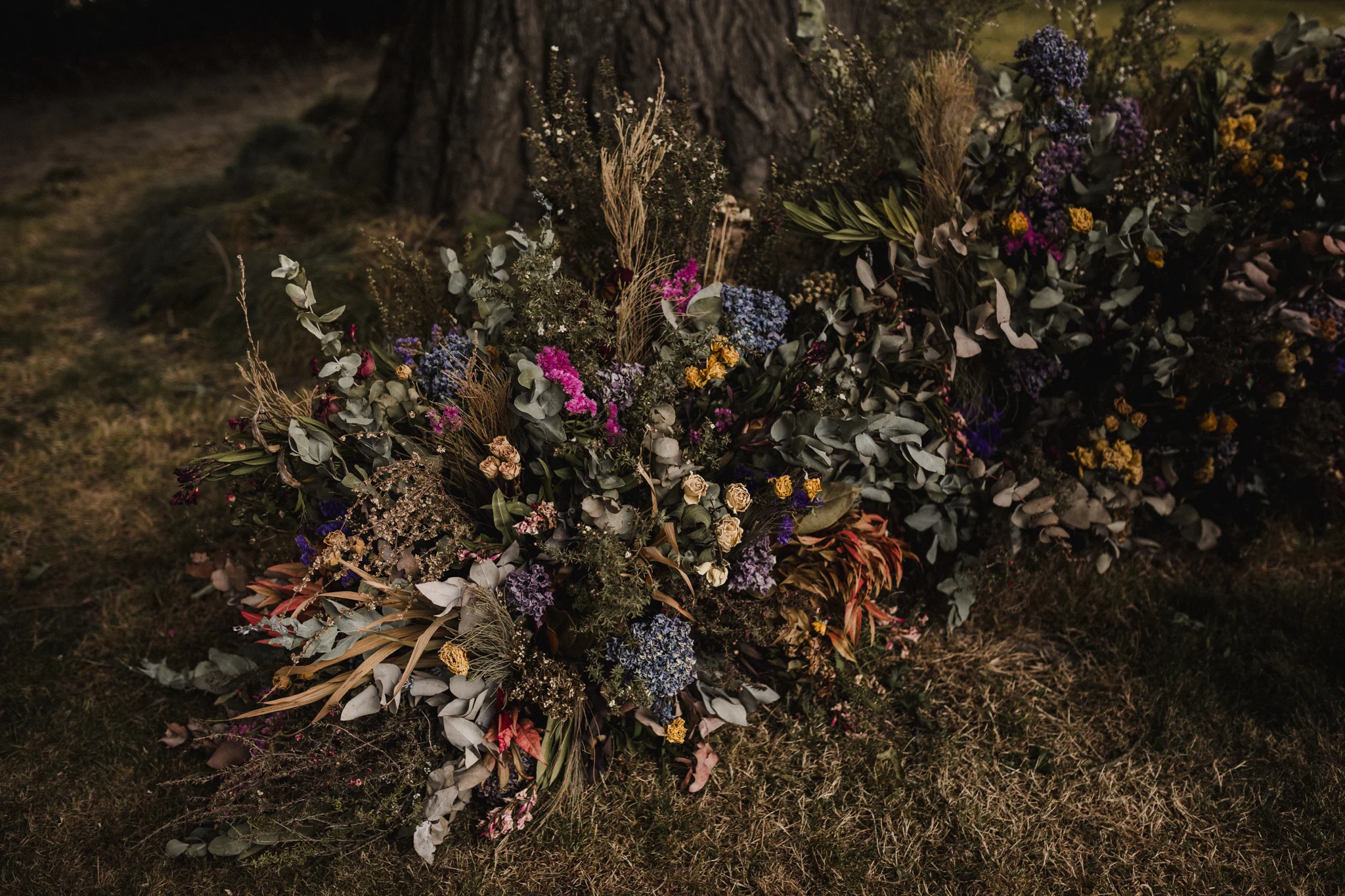 Daniel & Kristin Low Res-356.jpg