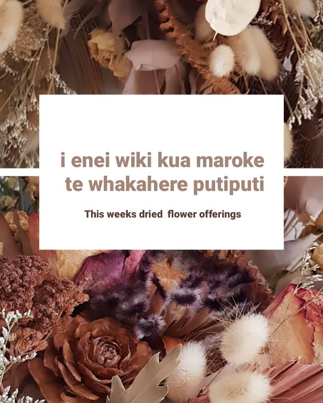 Maia Antler + Tassels $130

Āta Mirror  SOLD x

Kaia Large arrangement $150

Marama Floral Dot  SOLD x

Atarangi Floral Dot SOLD x

Check out story highlights for extra details. PM to purchase. 

Arohanui x