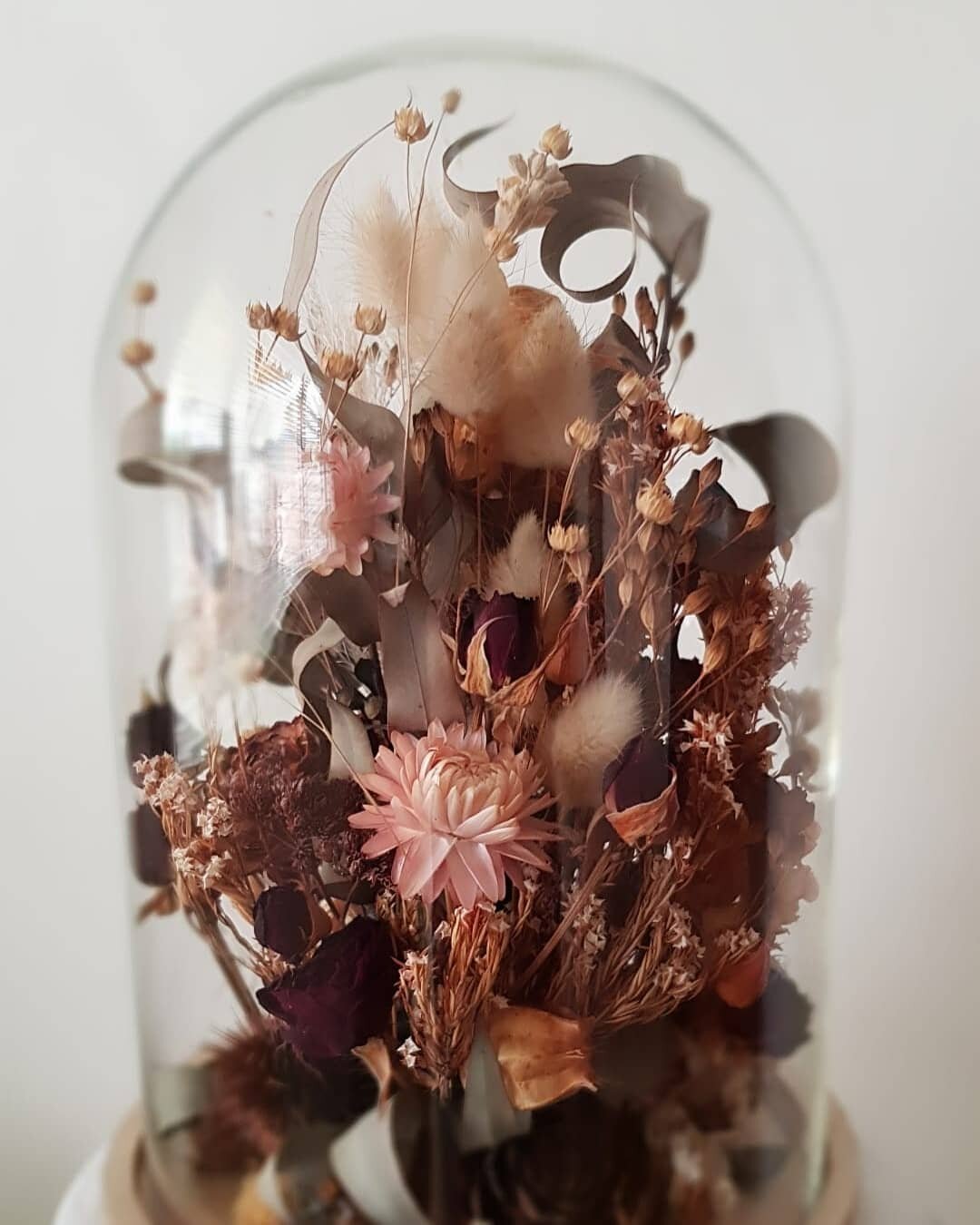 FOREVER  FLORA 
This week's dried flower drop is super cute. 

Florence Flower Dome SOLD
24cm tall

Floral dots - SOLD

Gather -large bouquet SOLD

DM to purchase.