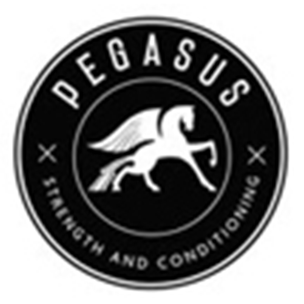 pegasus.jpg