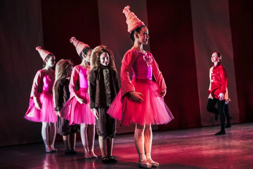   (Bob Williams, Ballet Fantastique 2018)  