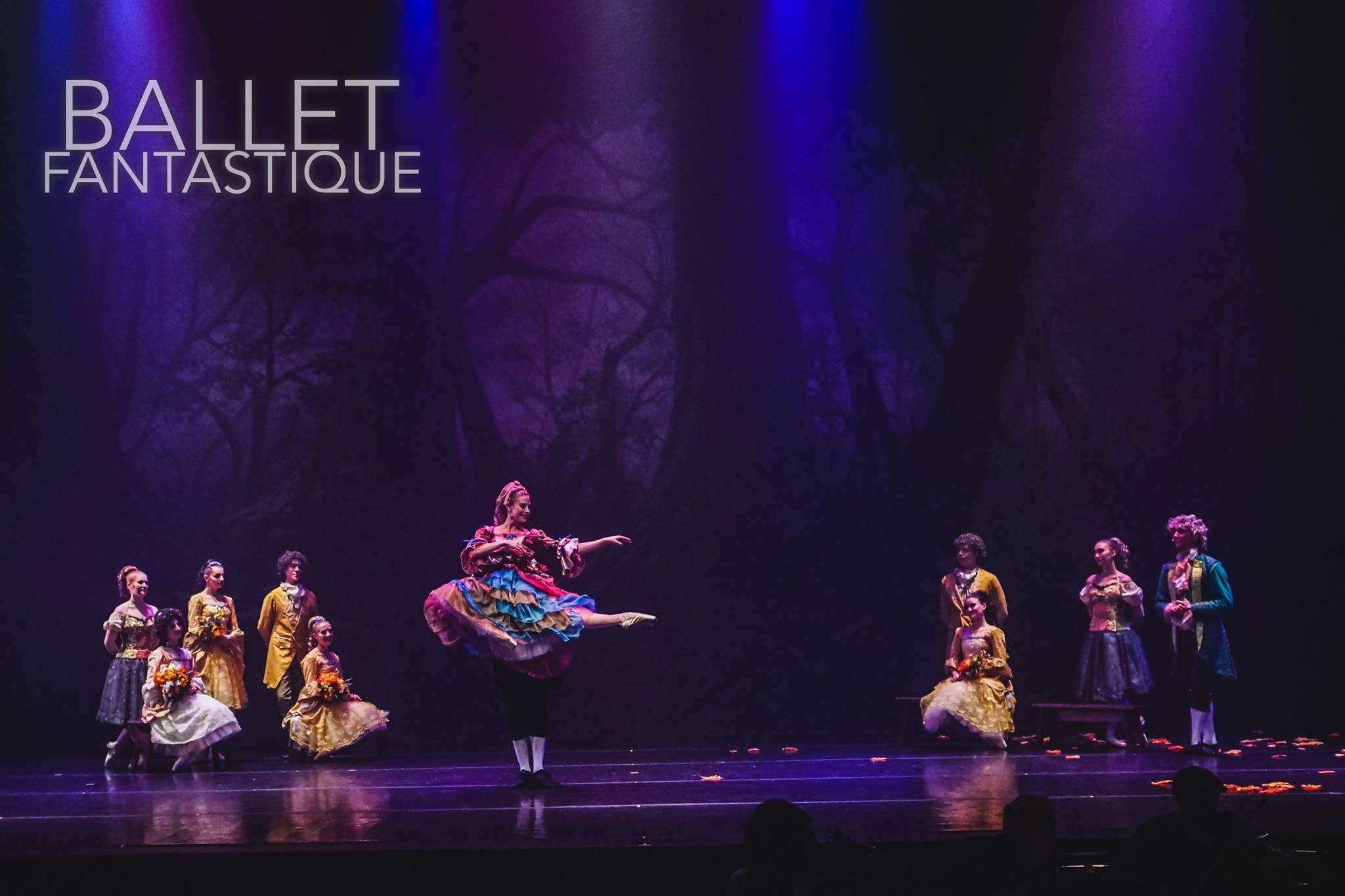   (Bob Williams, Ballet Fantastique 2018)  