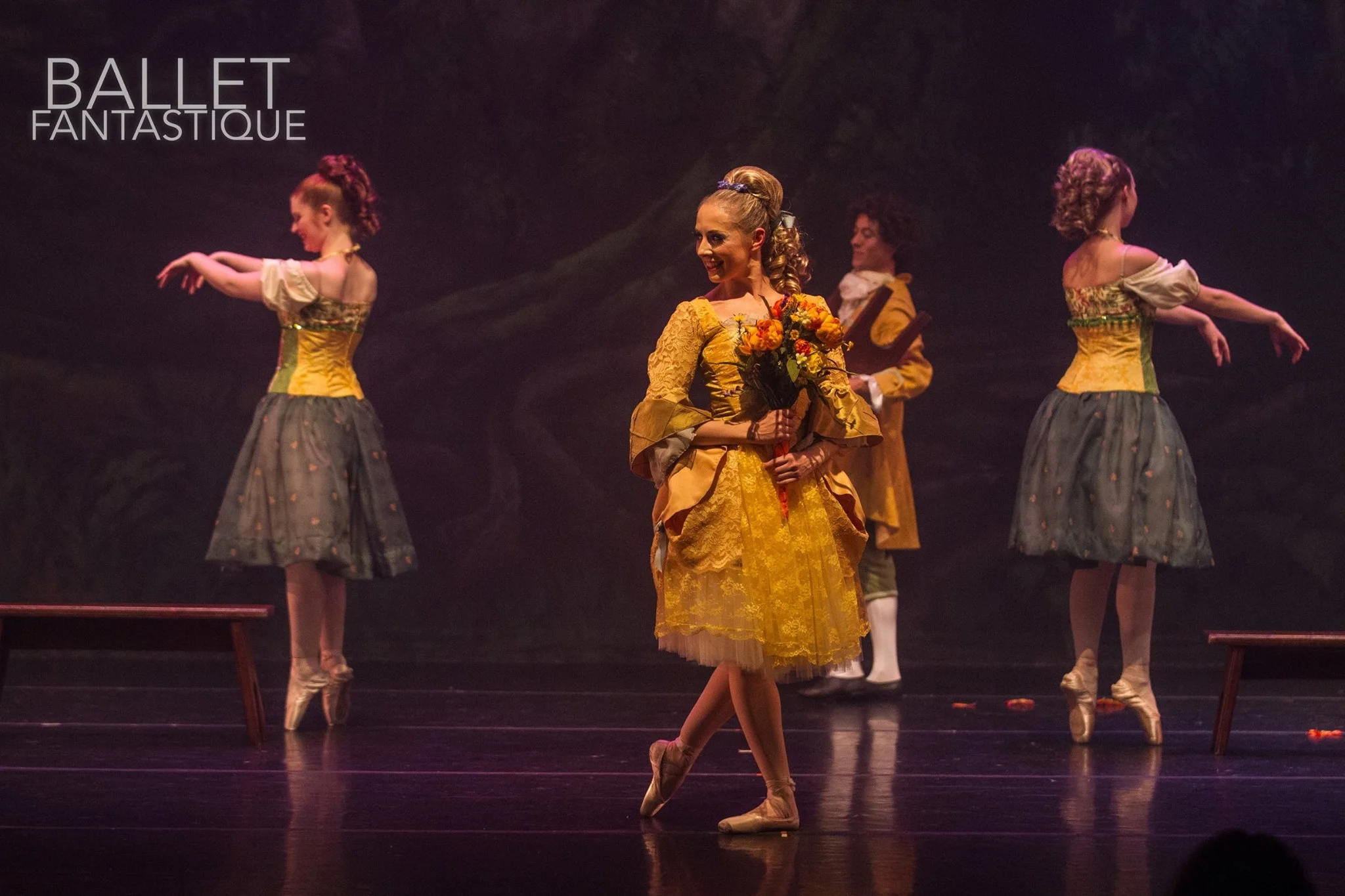   (Bob Williams, Ballet Fantastique 2018)  
