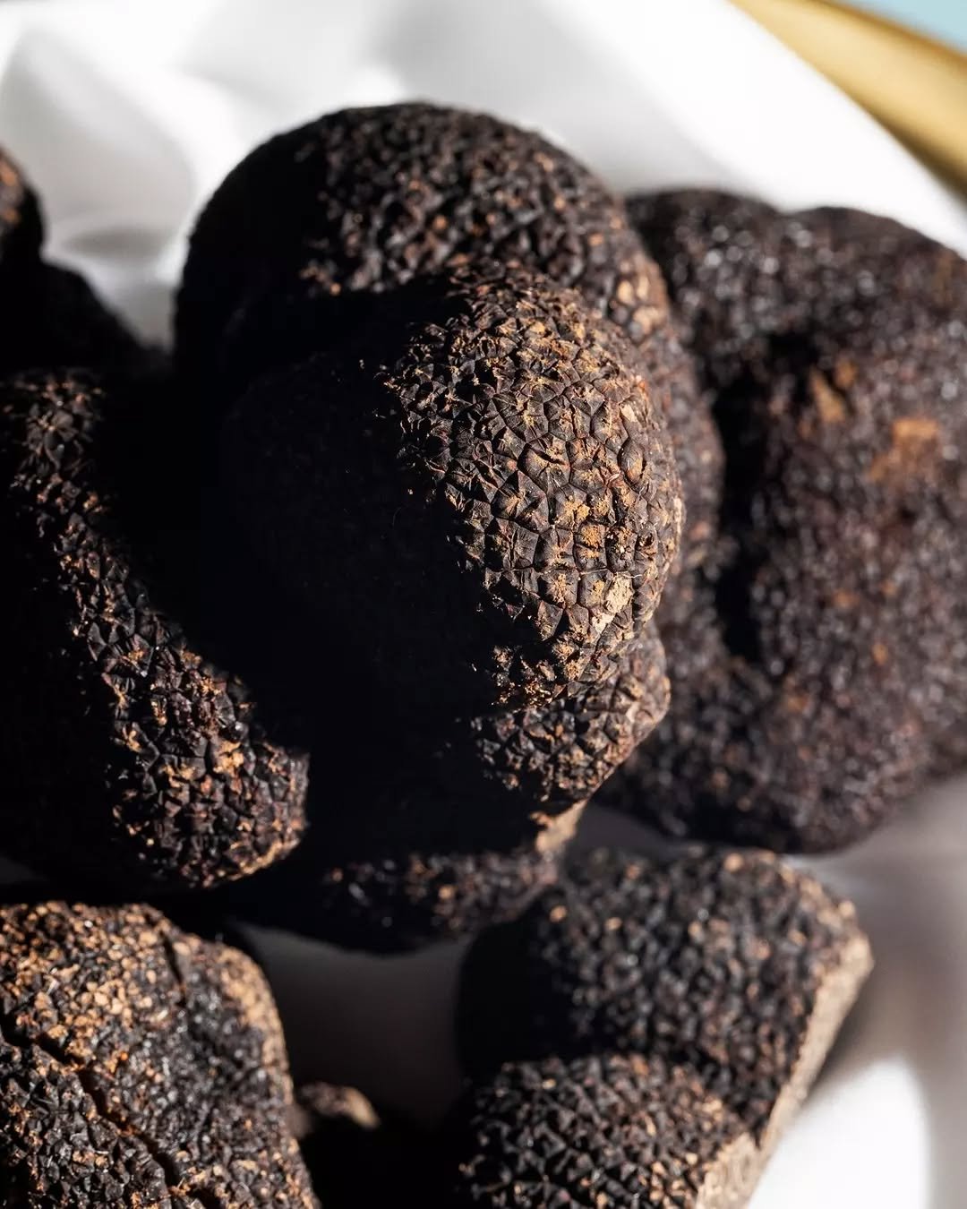 Truffles are in! Enjoy first of the season @coomertruffles at Le Rebelle. 

Open Wednesday to Saturday.