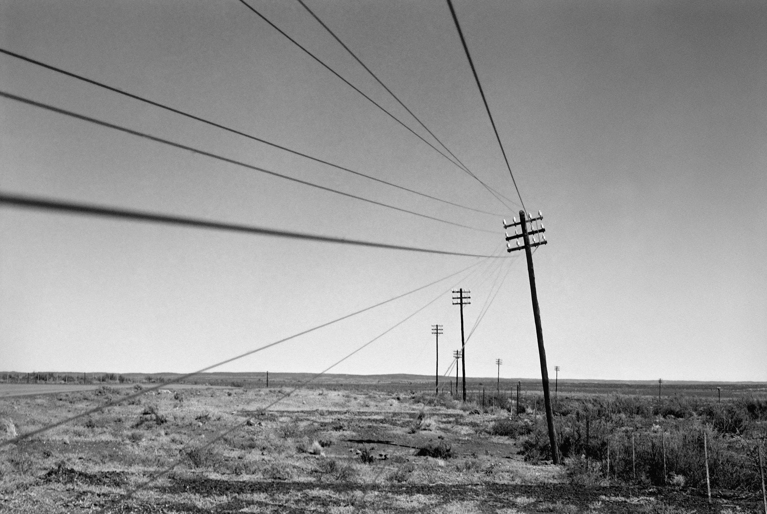  Telegraph Poles Standing Askew Near Brandvlei, Northern Cape/ 2007 