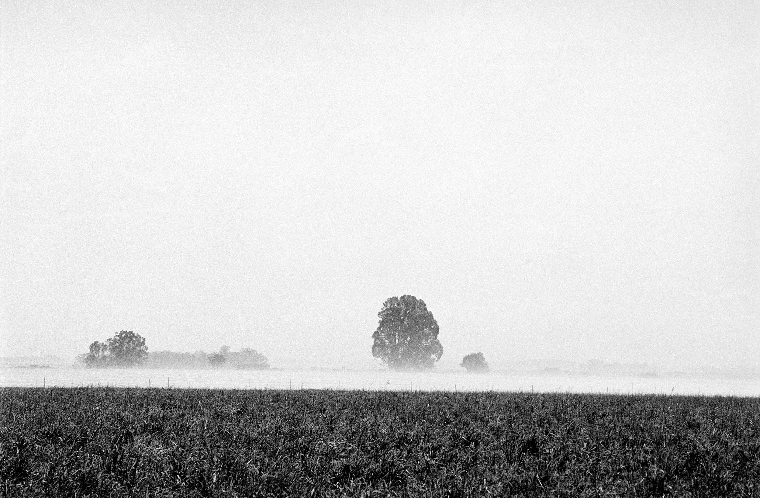  Dust Storms at Noon on the R34 between Welkom and Hennenman, Free State III/ 2007 