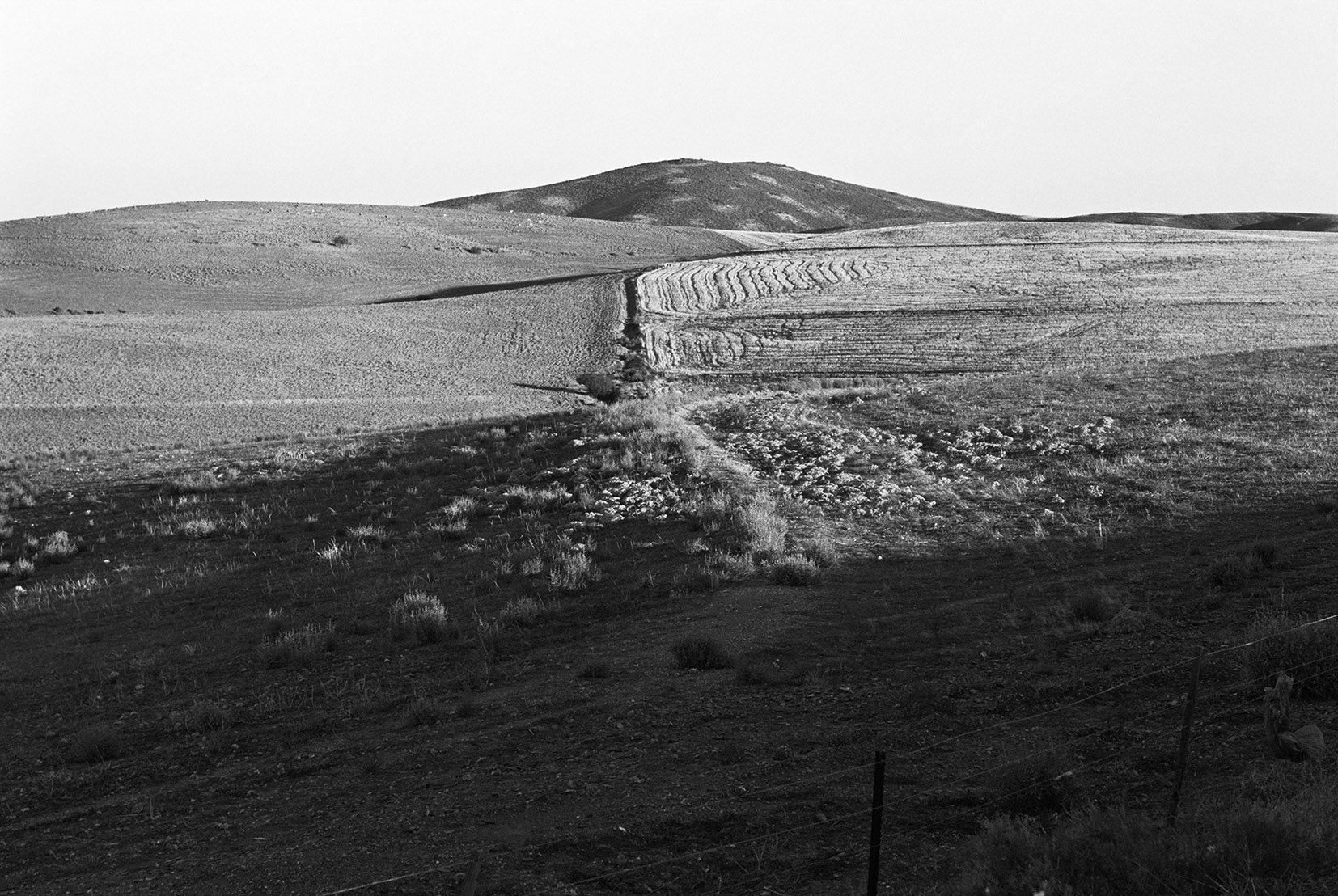  Farm on the Western Cape/ 2002 