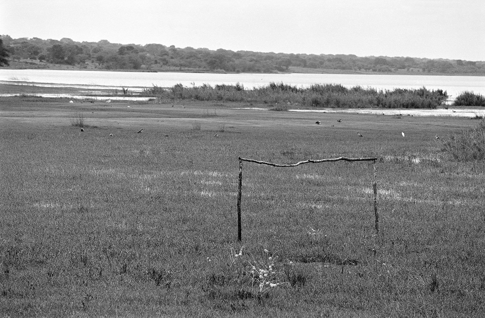  St Lucia Bay Wetlands, KwaZulu Natal/ 2010 